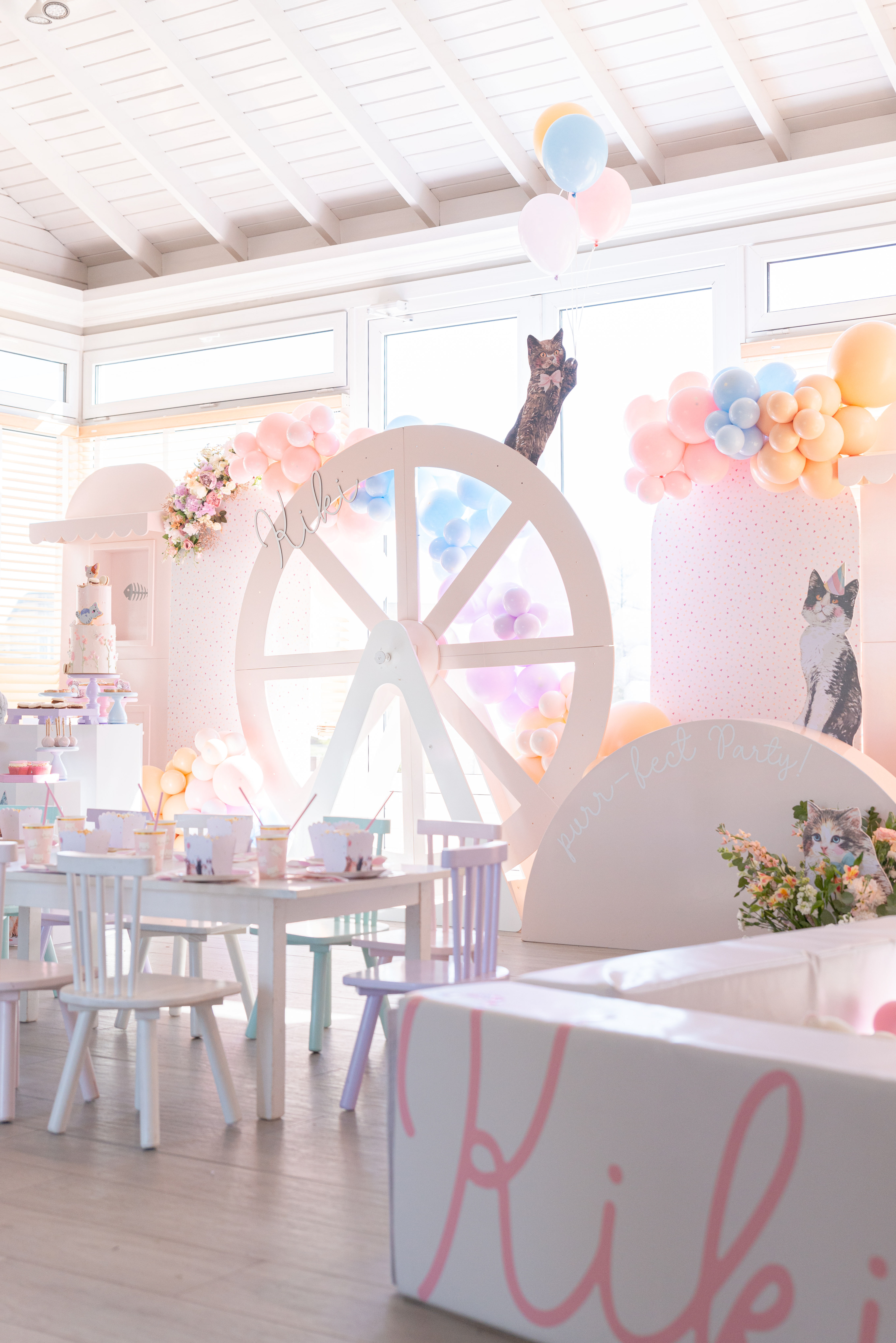 Copyright© ONPH fotografia. Todos los Derechos Reservados