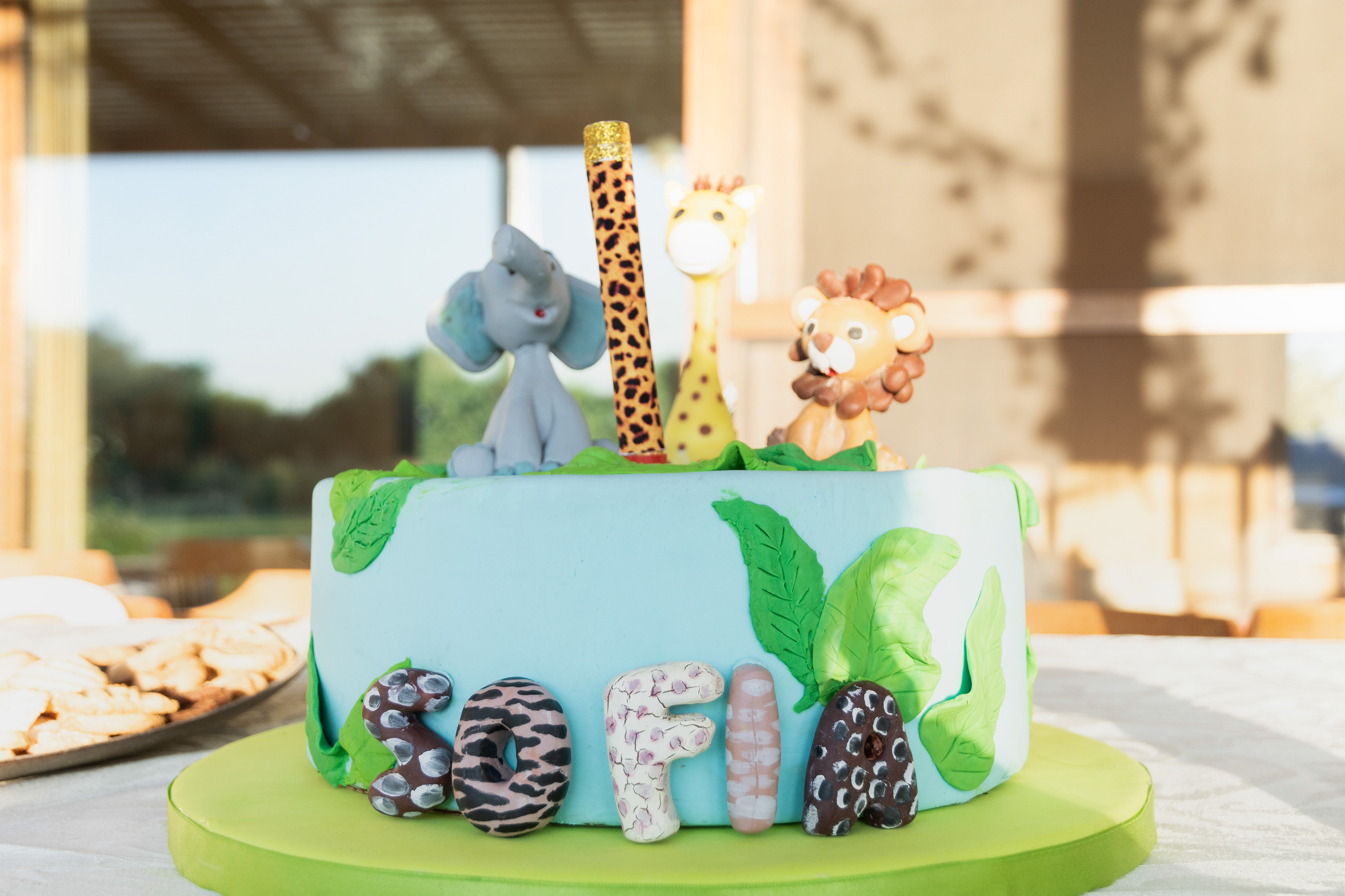 Copyright 2020 ONPH fotografía. Todos los derechos reservados.