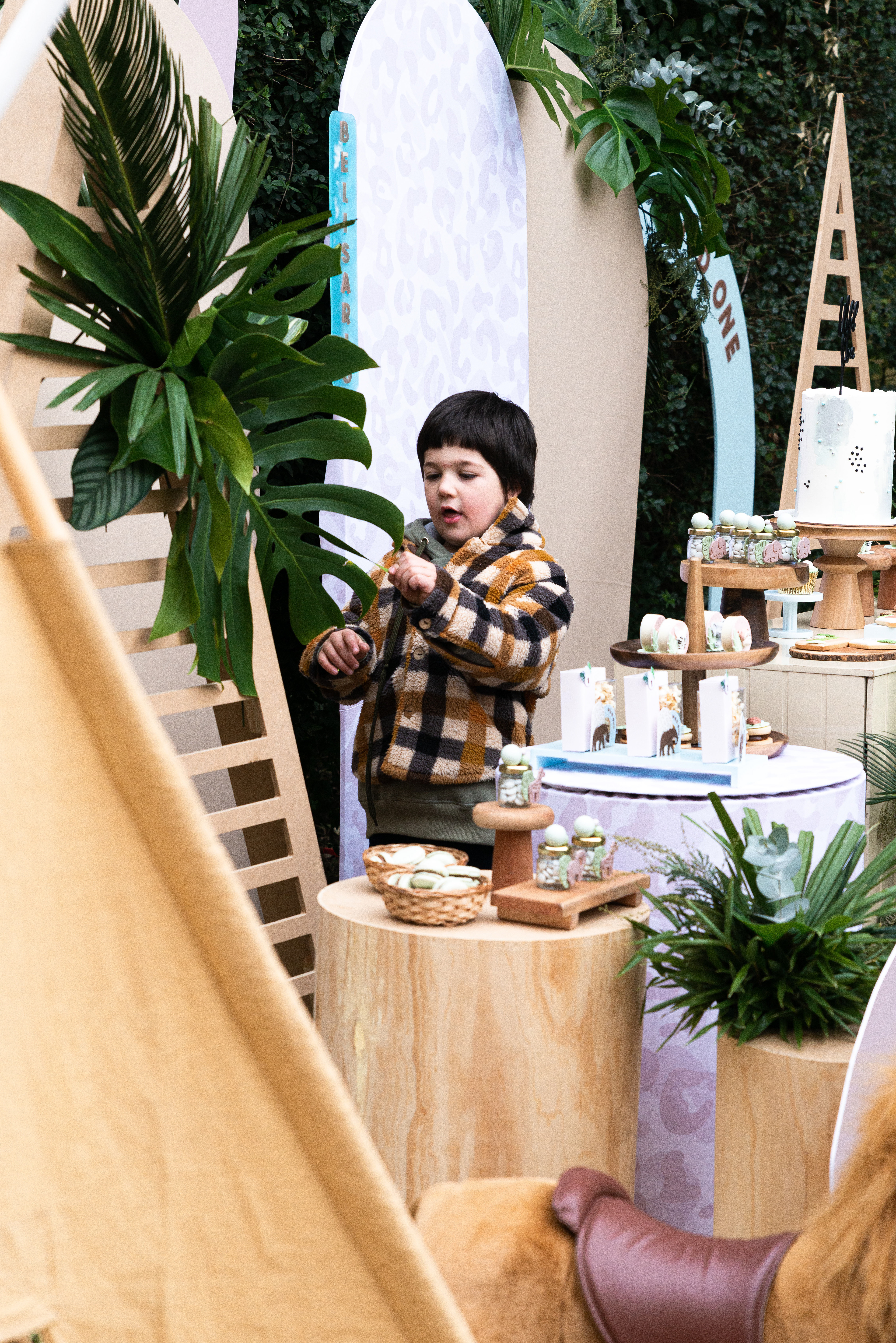 Copyright©2022 ONPH fotografia. Todos los Derechos Reservados