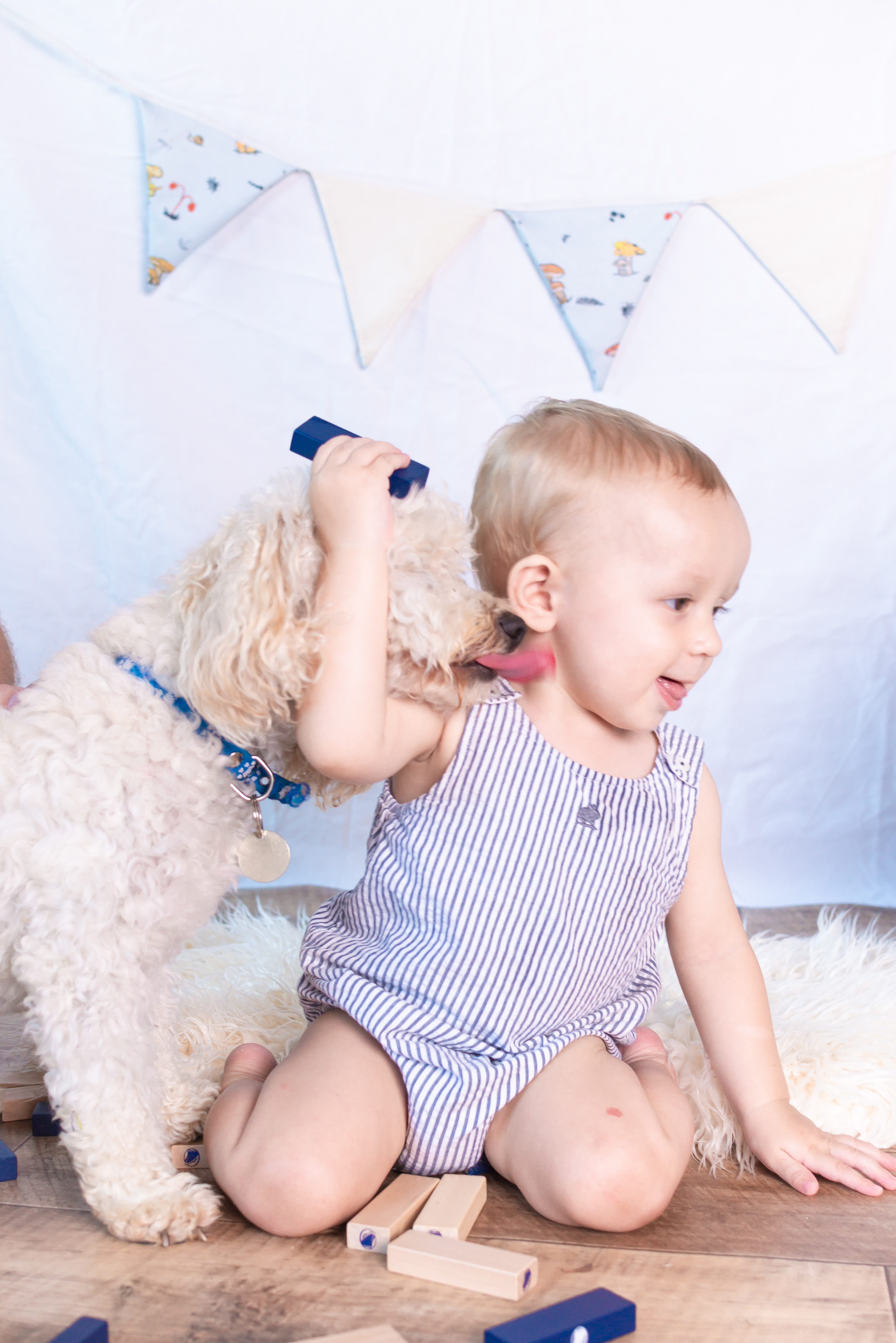 Copyright© 2021 ONPH fotografía. Todos los derechos reservados.