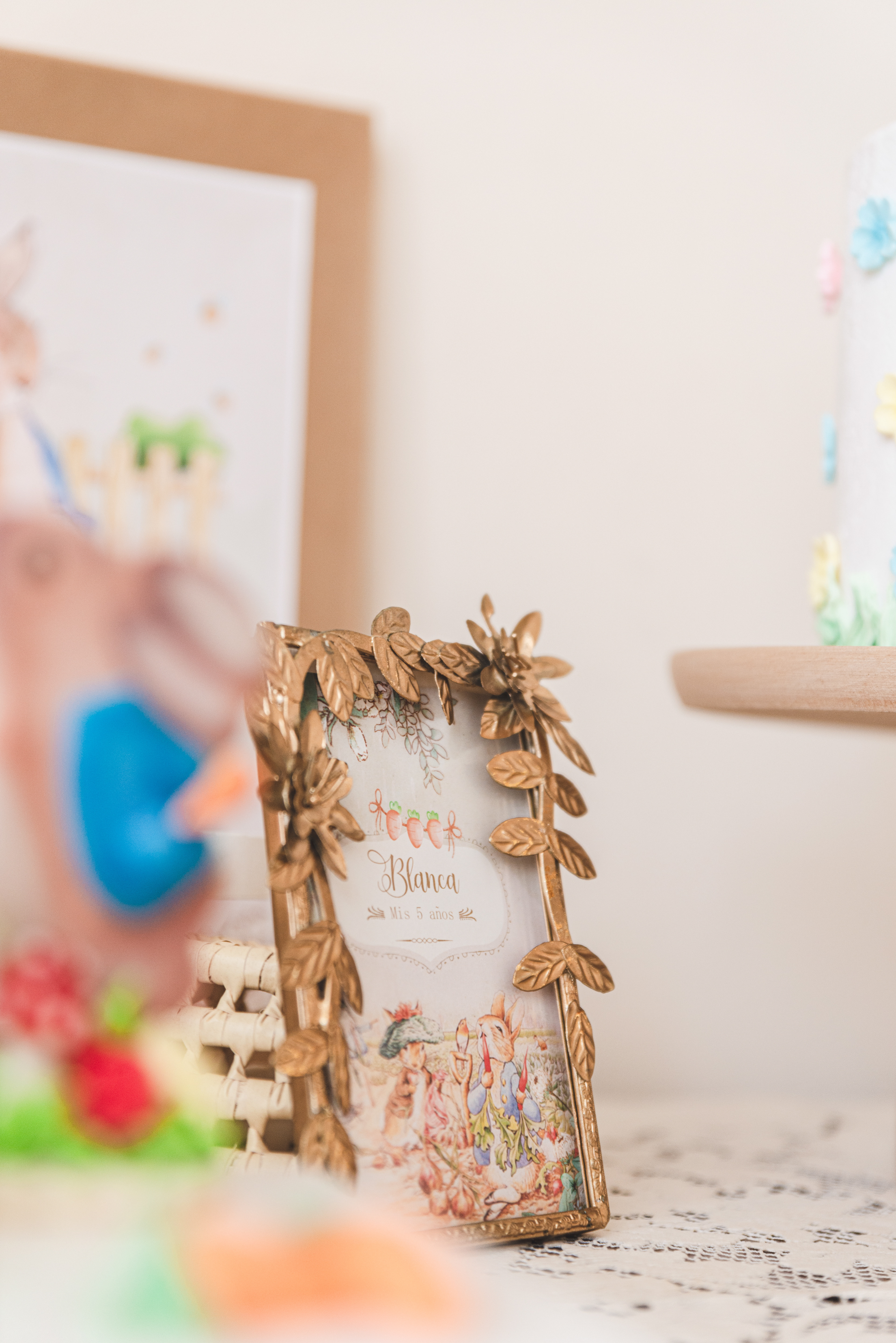 Copyright© ONPH fotografia. Todos los Derechos Reservados