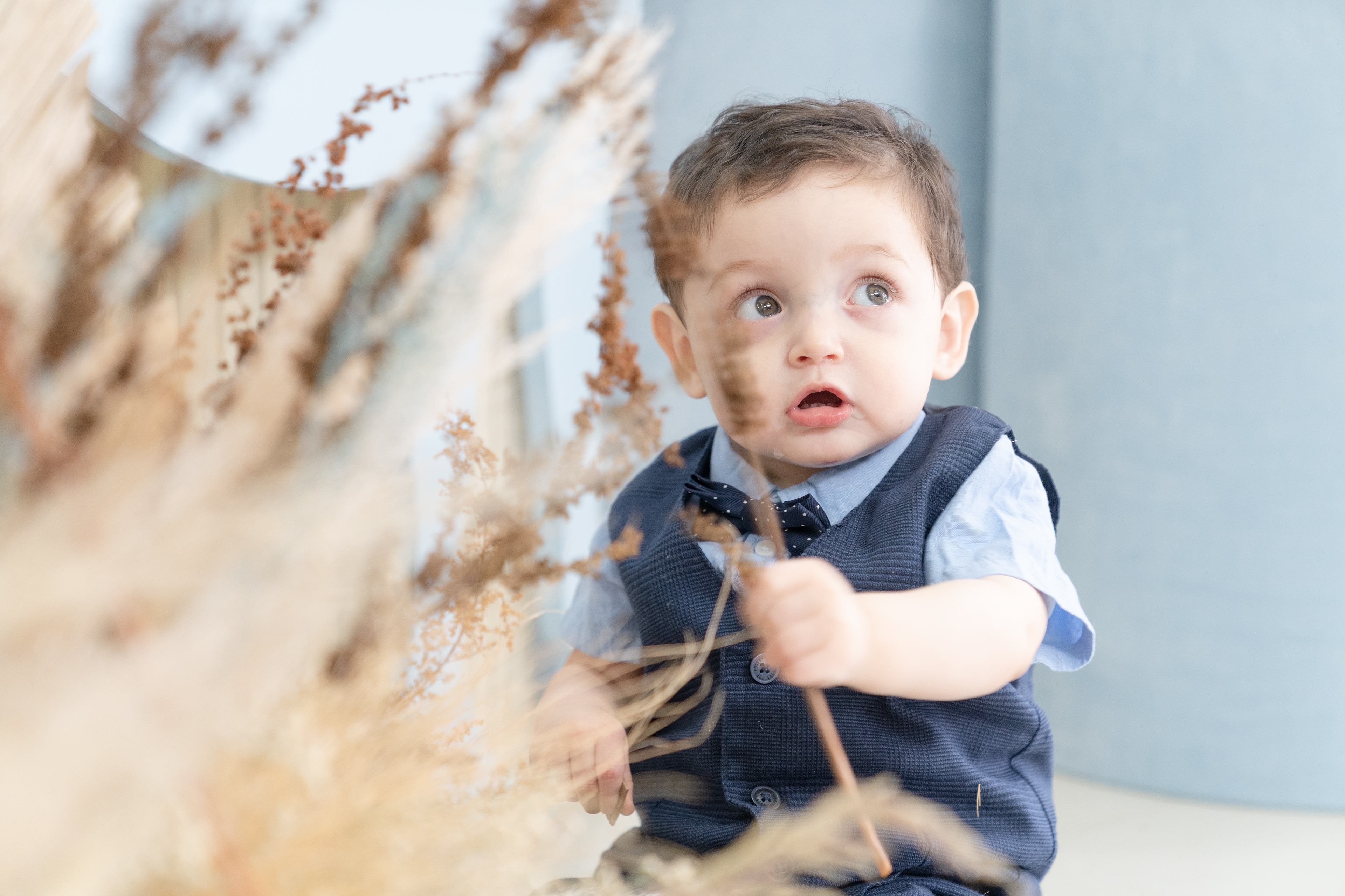 Copyright© ONPH fotografia. Todos los Derechos Reservados