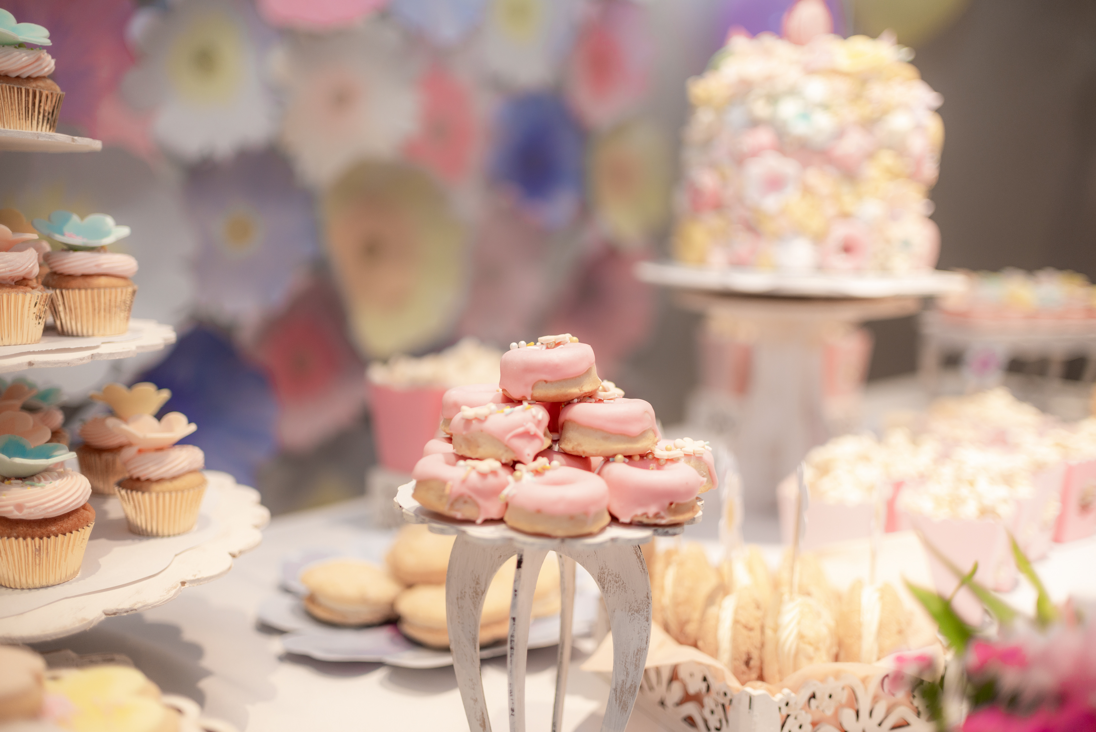 Copyright 2019 ONPH fotografía. Todos los derechos reservados.