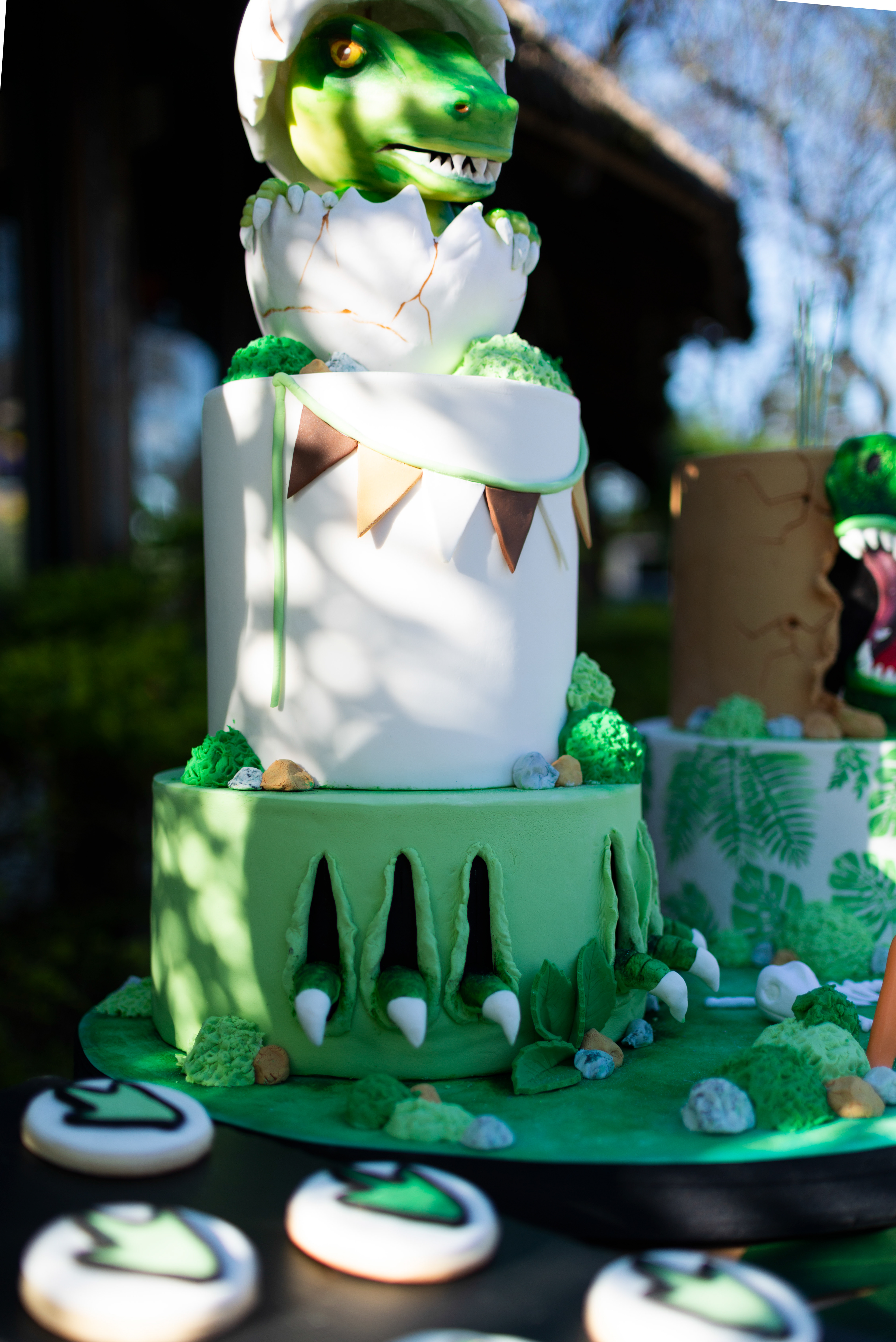 Copyright 2019 ONPH fotografía. Todos los derechos reservados.