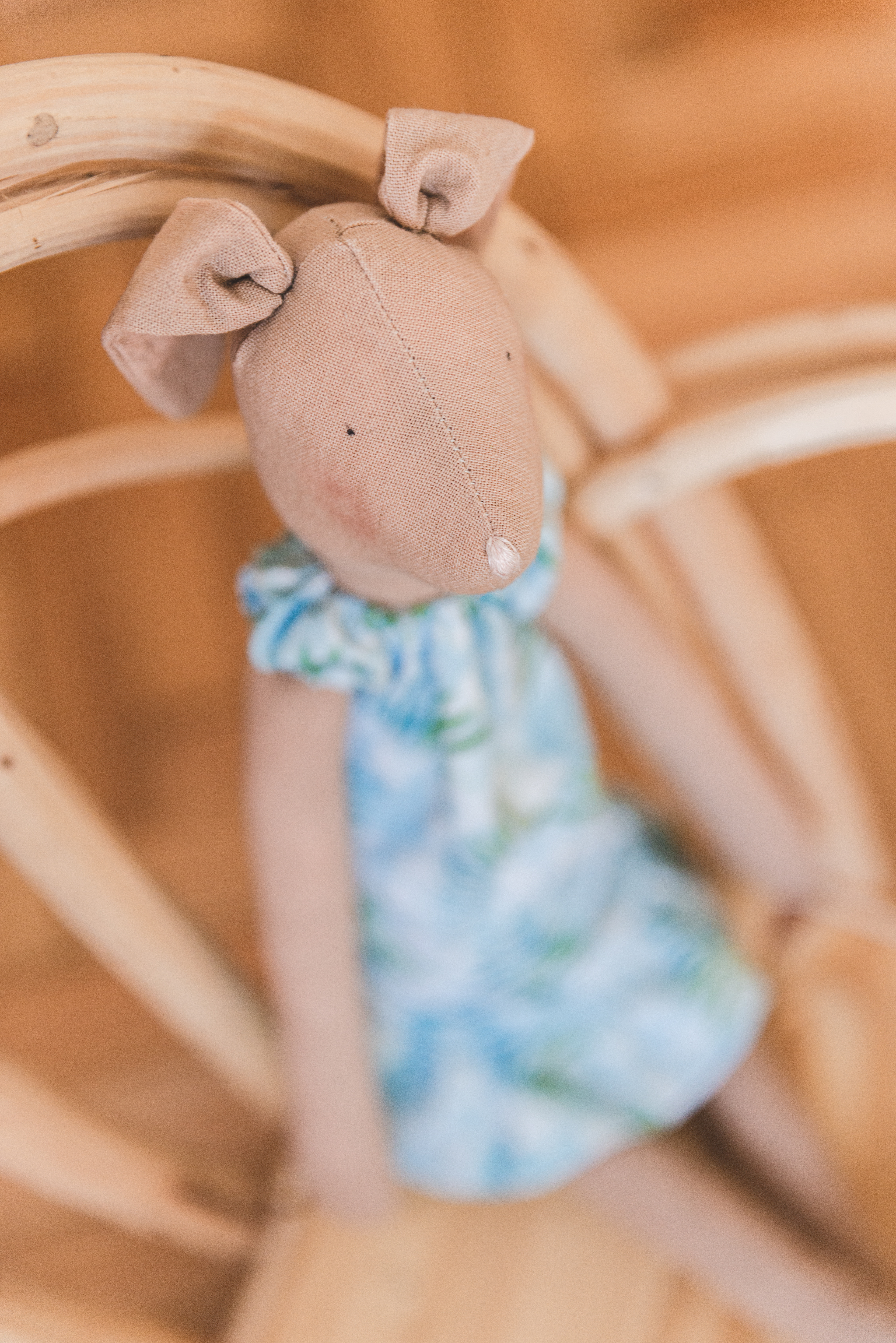 Copyright© ONPH fotografia. Todos los Derechos Reservados