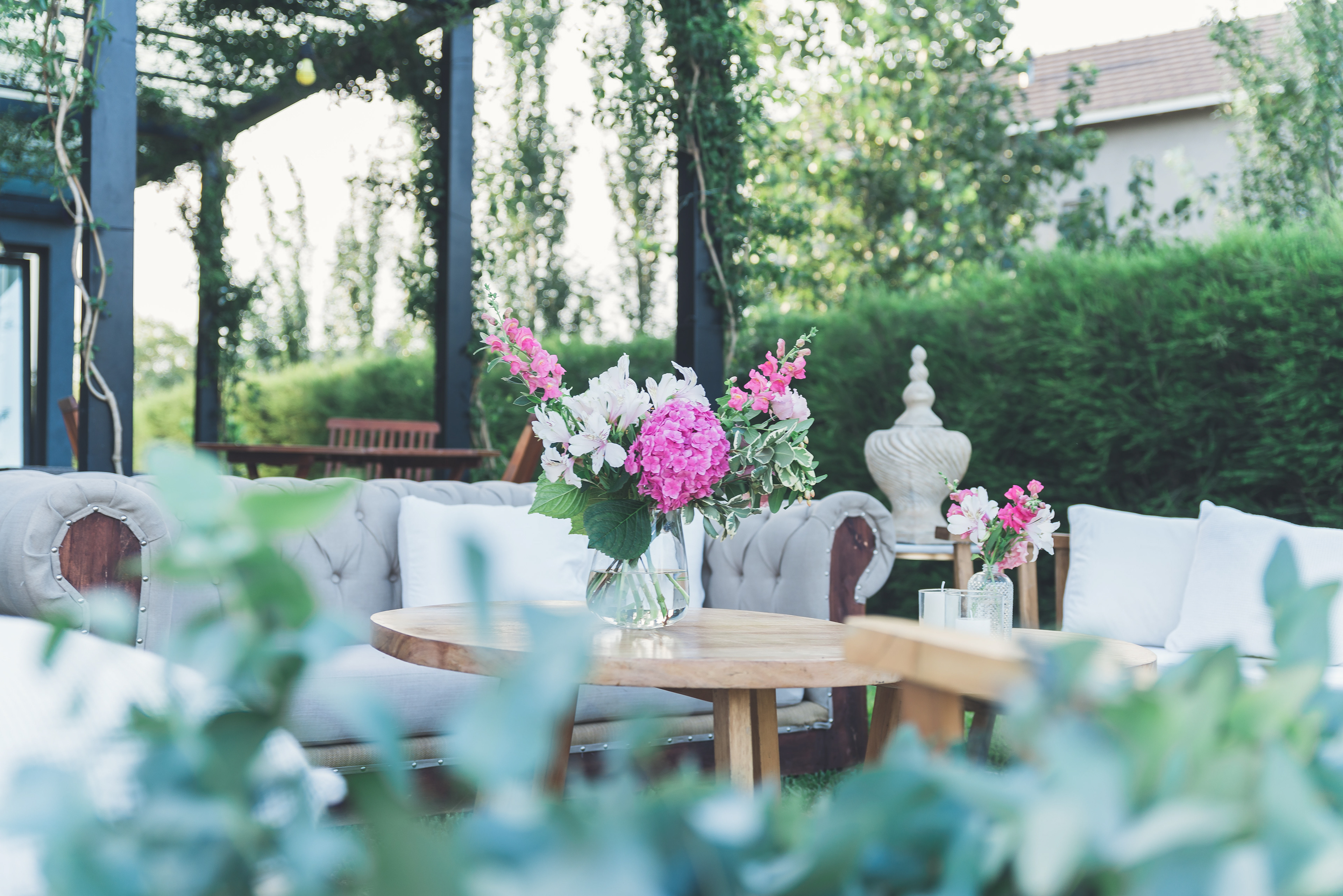 Copyright© ONPH fotografia. Todos los Derechos Reservados