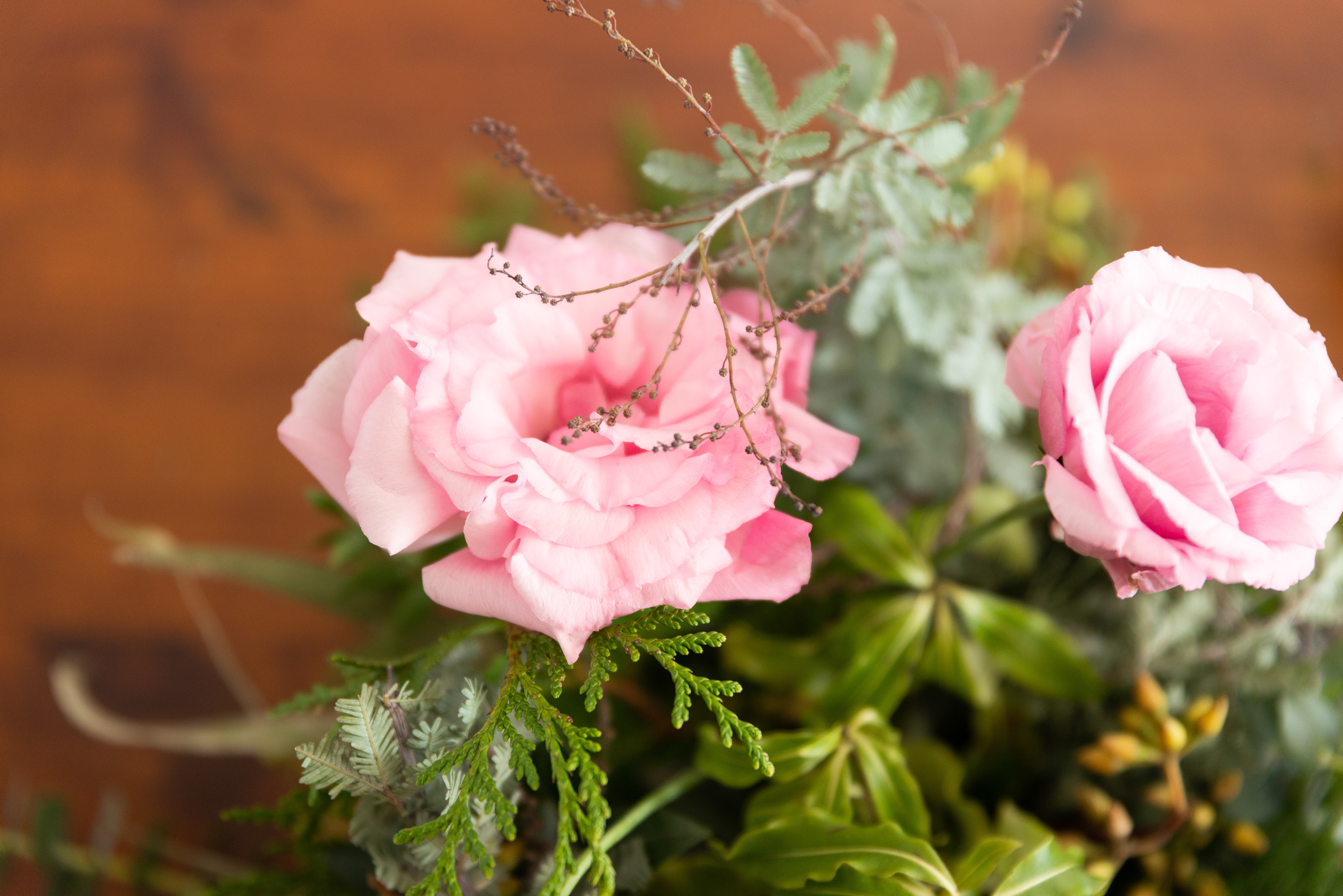 Copyright© ONPH fotografia. Todos los Derechos Reservados