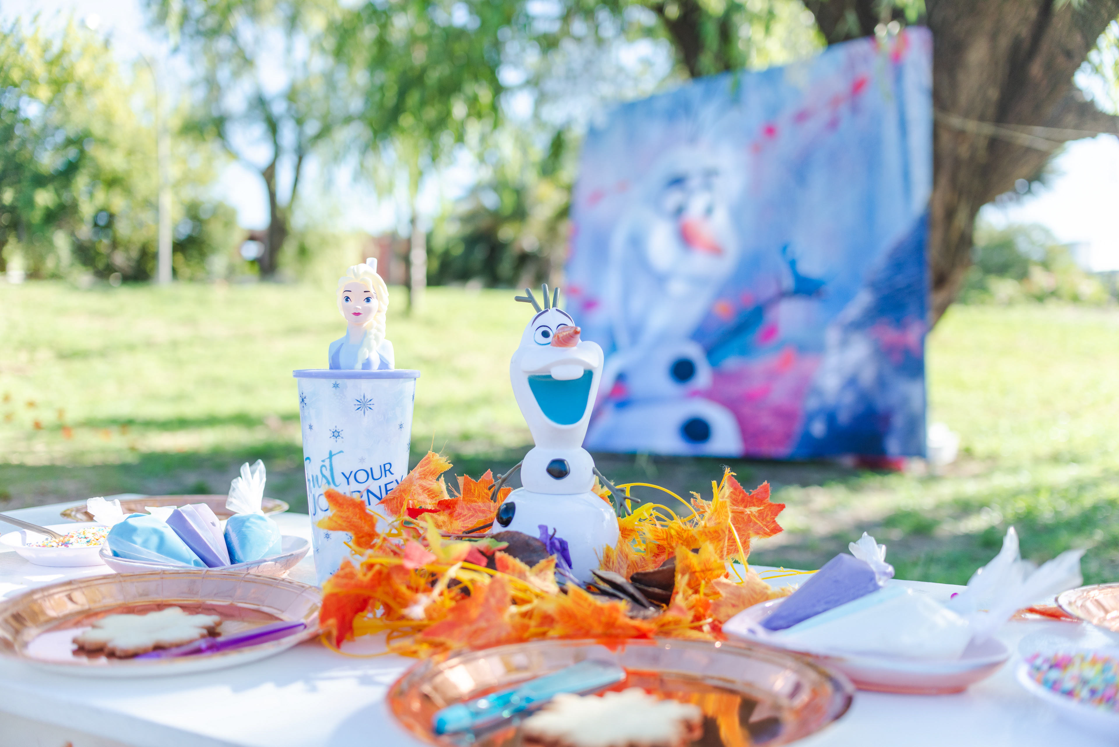 Copyright© 2021 ONPH fotografía. Todos los derechos reservados.