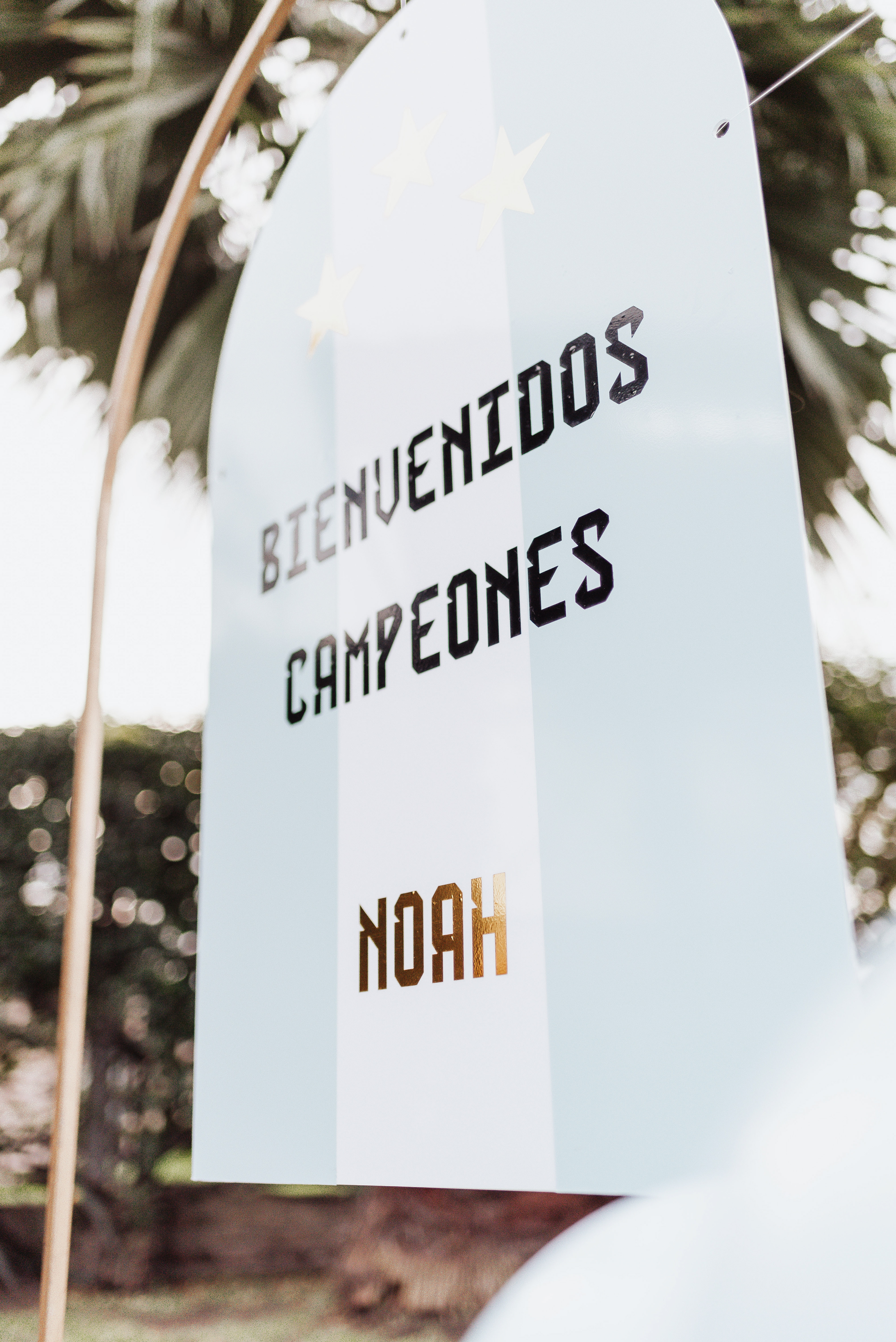 Copyright© ONPH fotografia. Todos los Derechos Reservados