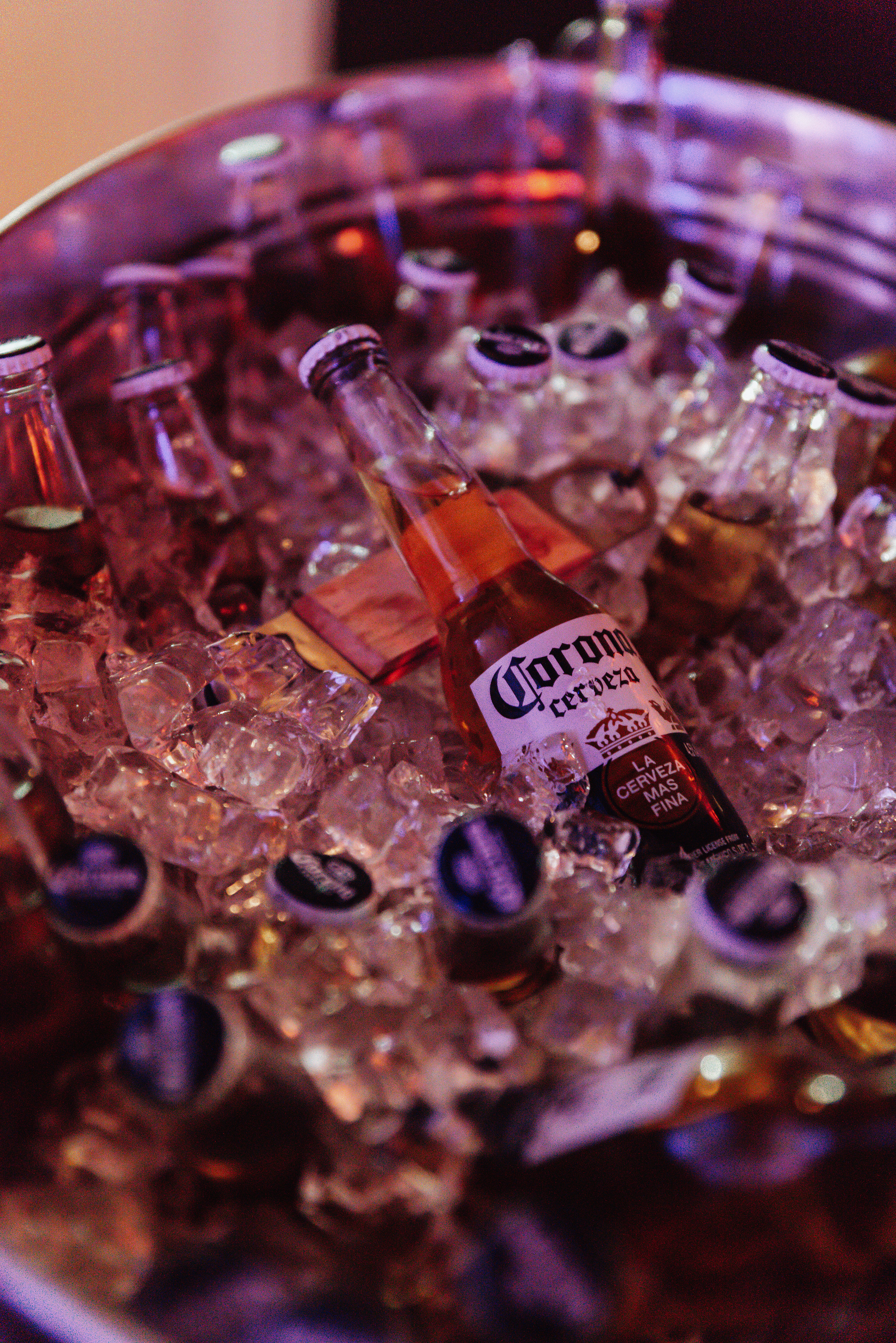 Copyright© ONPH fotografia. Todos los Derechos Reservados