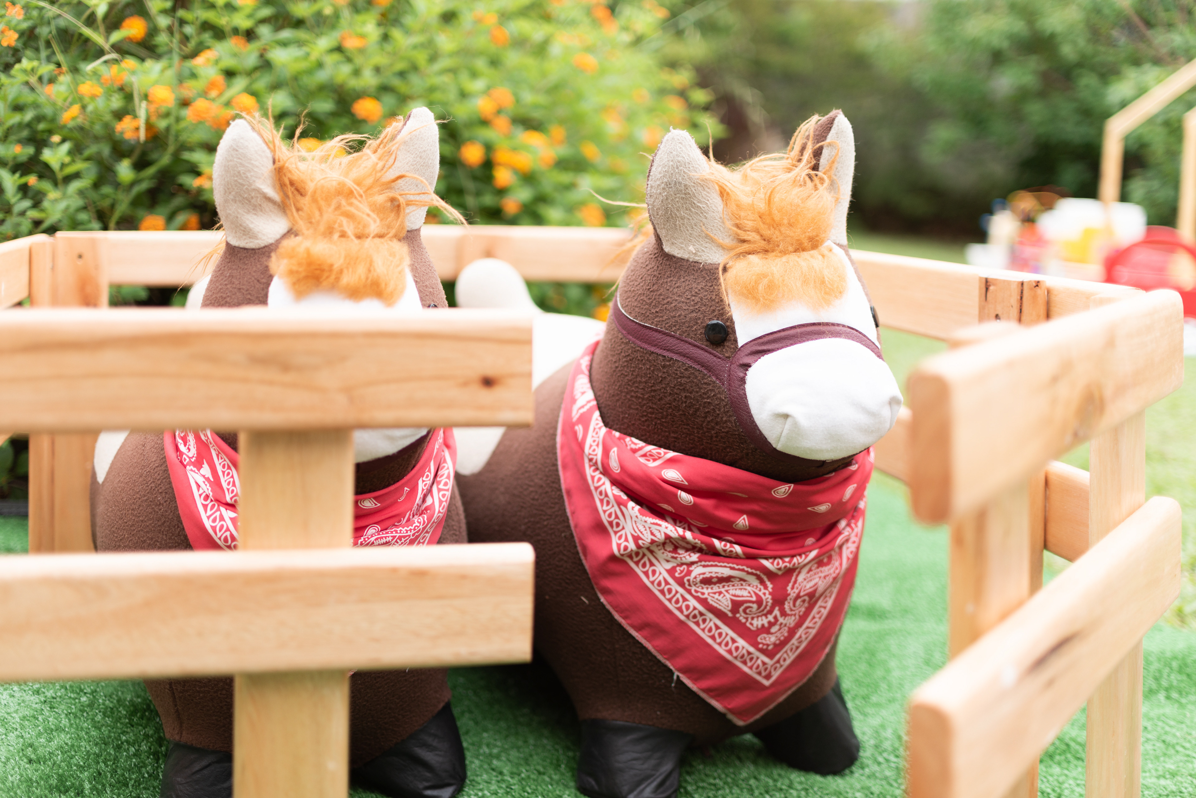 Copyright© 2021 ONPH fotografía. Todos los derechos reservados.