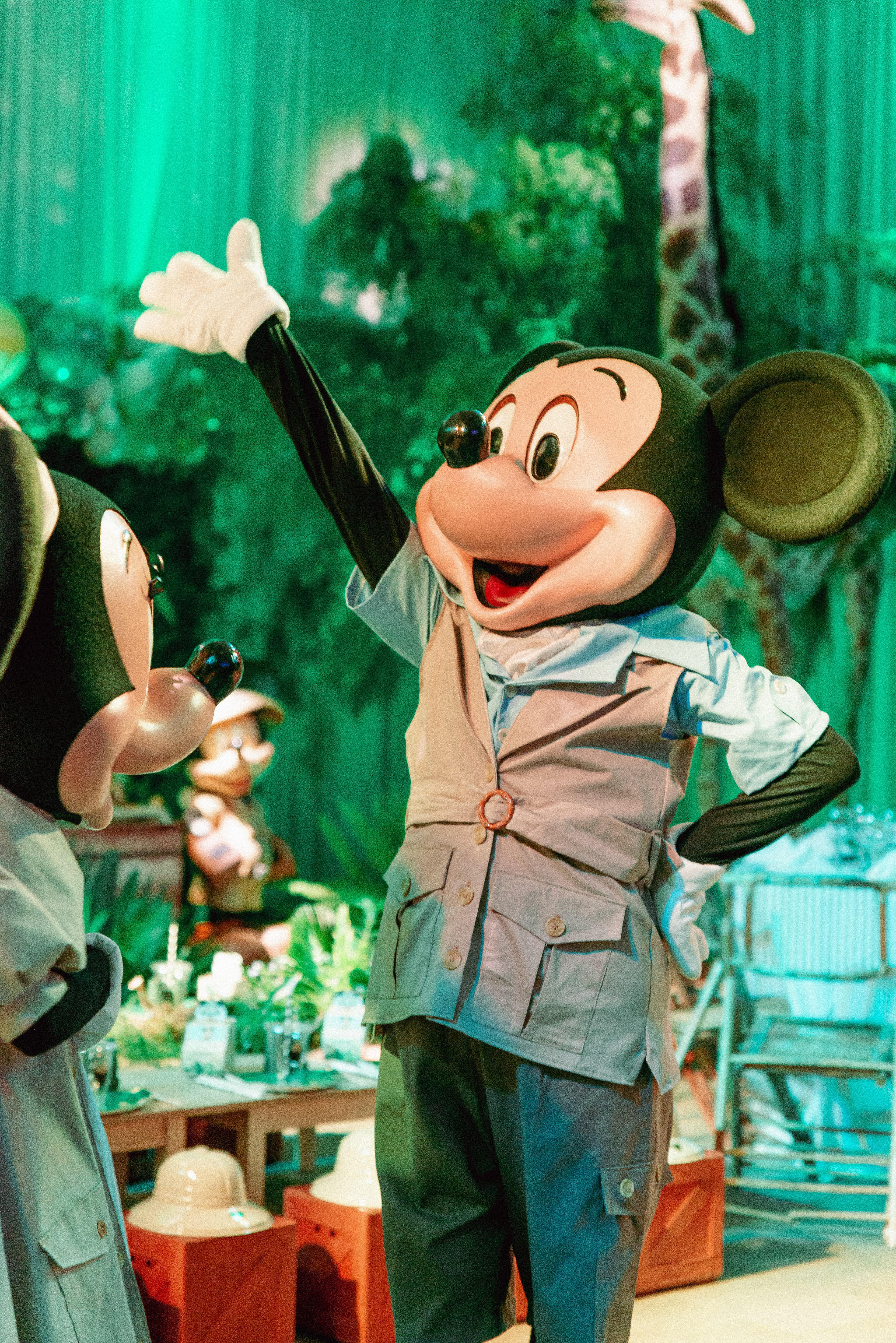 Copyright© ONPH fotografia. Todos los Derechos Reservados