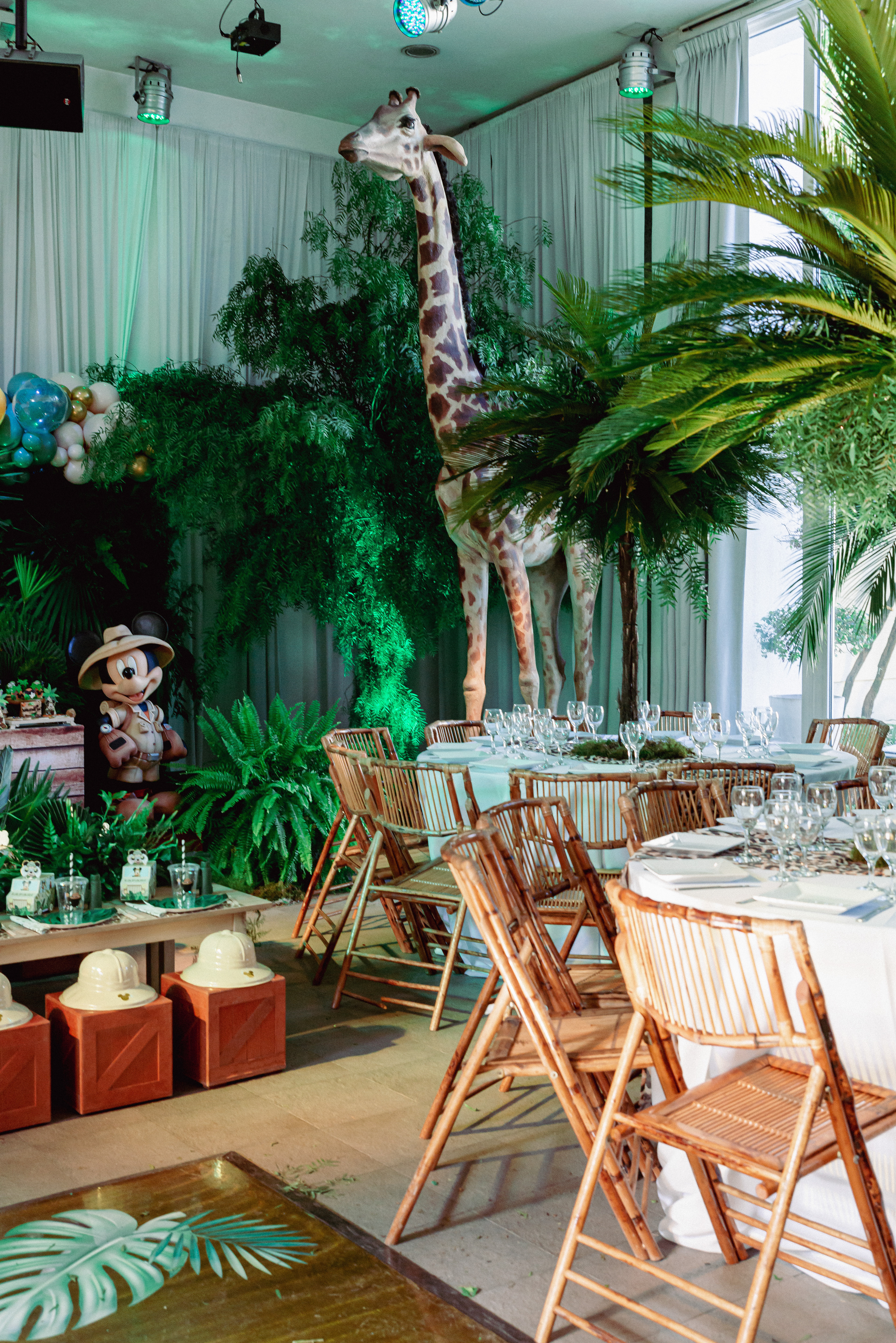 Copyright© ONPH fotografia. Todos los Derechos Reservados