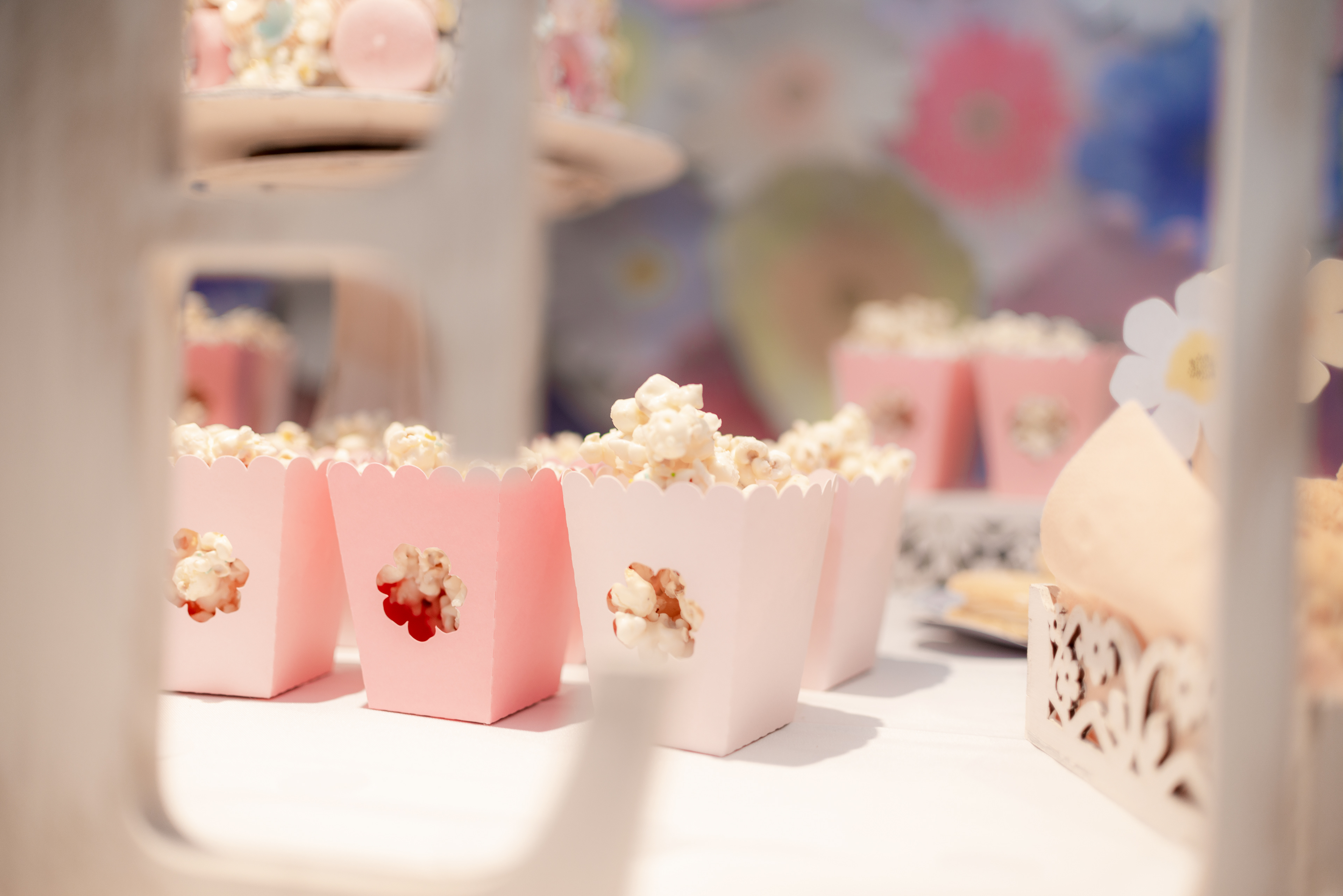 Copyright 2019 ONPH fotografía. Todos los derechos reservados.