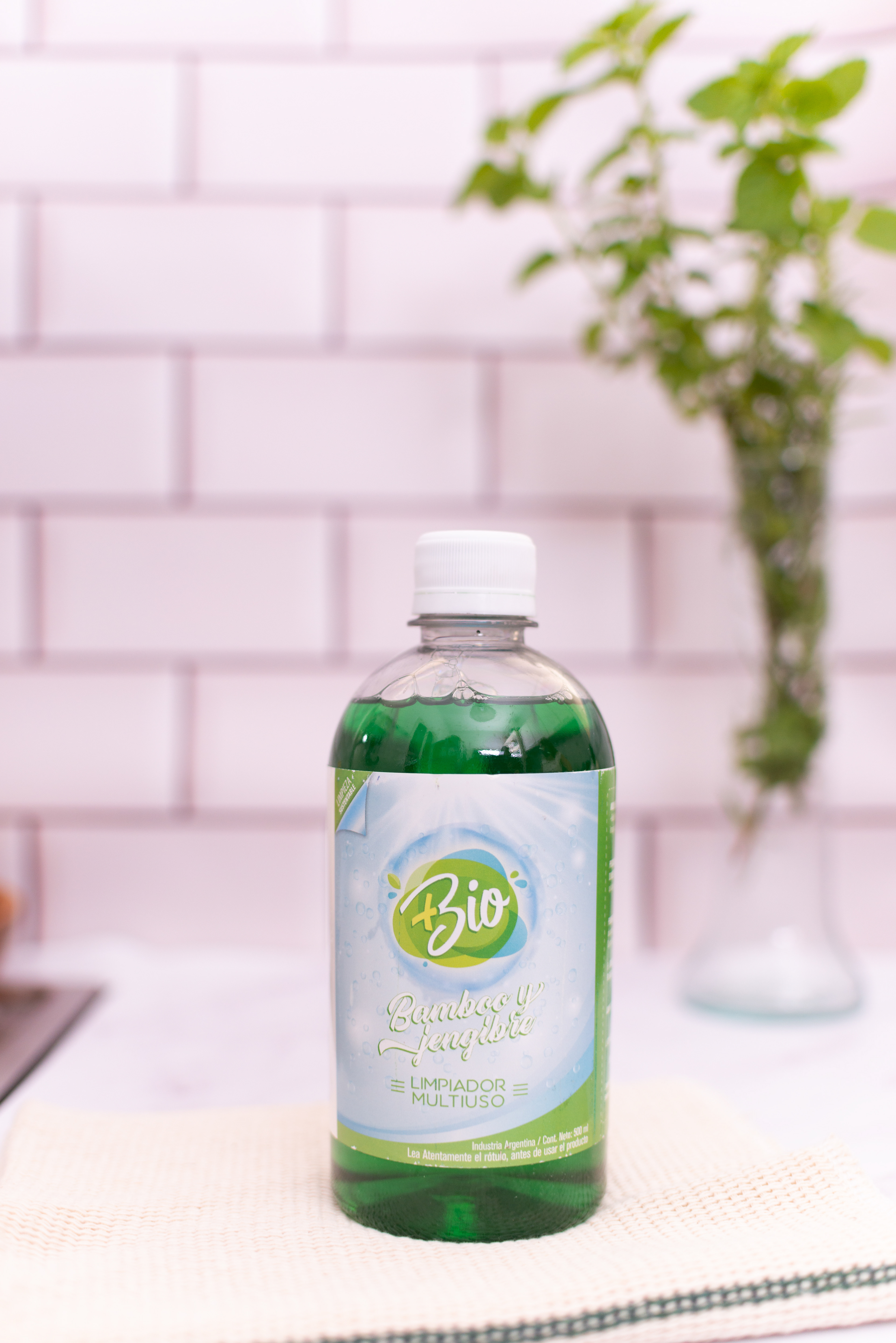 Copyright© 2021 ONPH fotografía. Todos los derechos reservados.