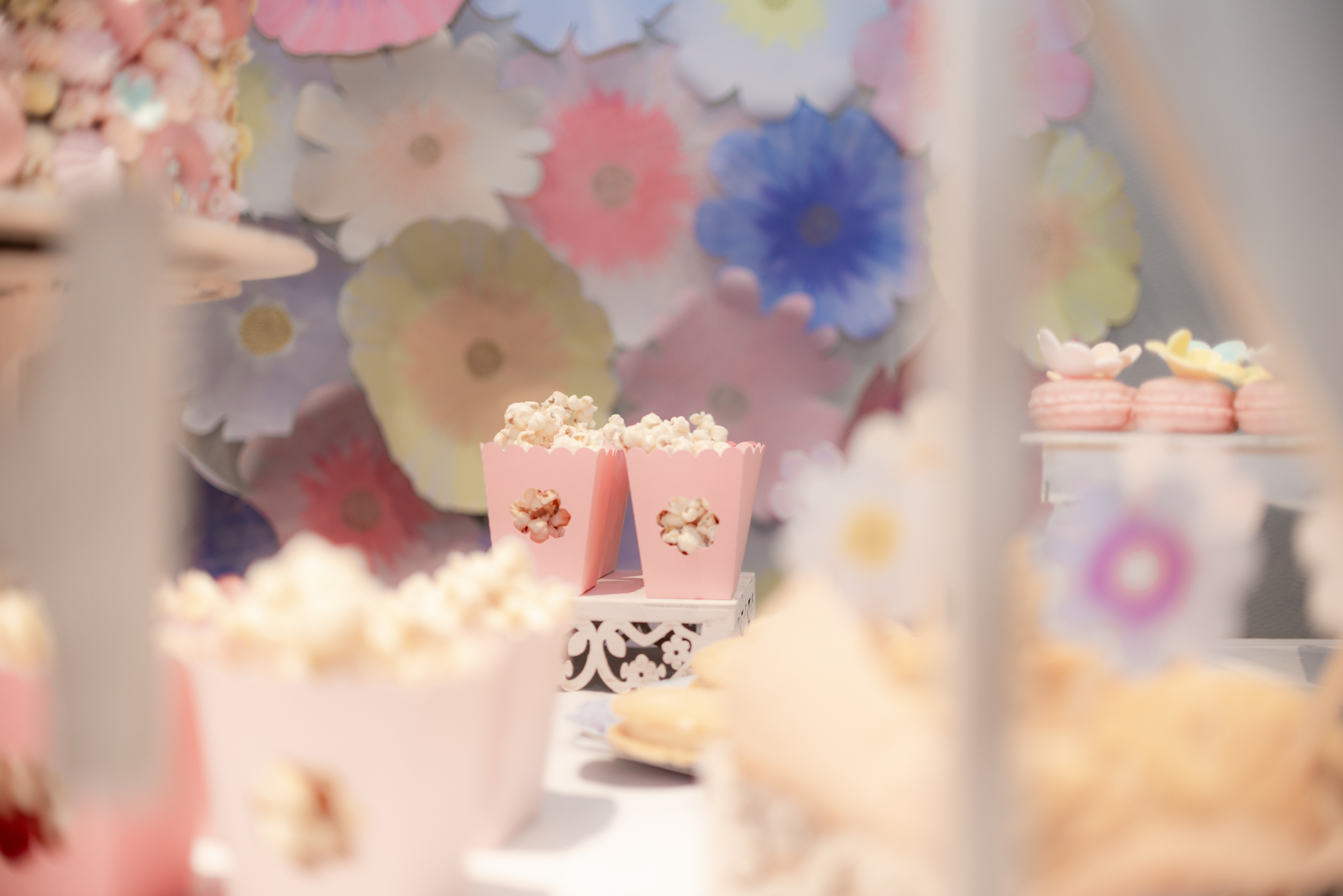 Copyright 2019 ONPH fotografía. Todos los derechos reservados.