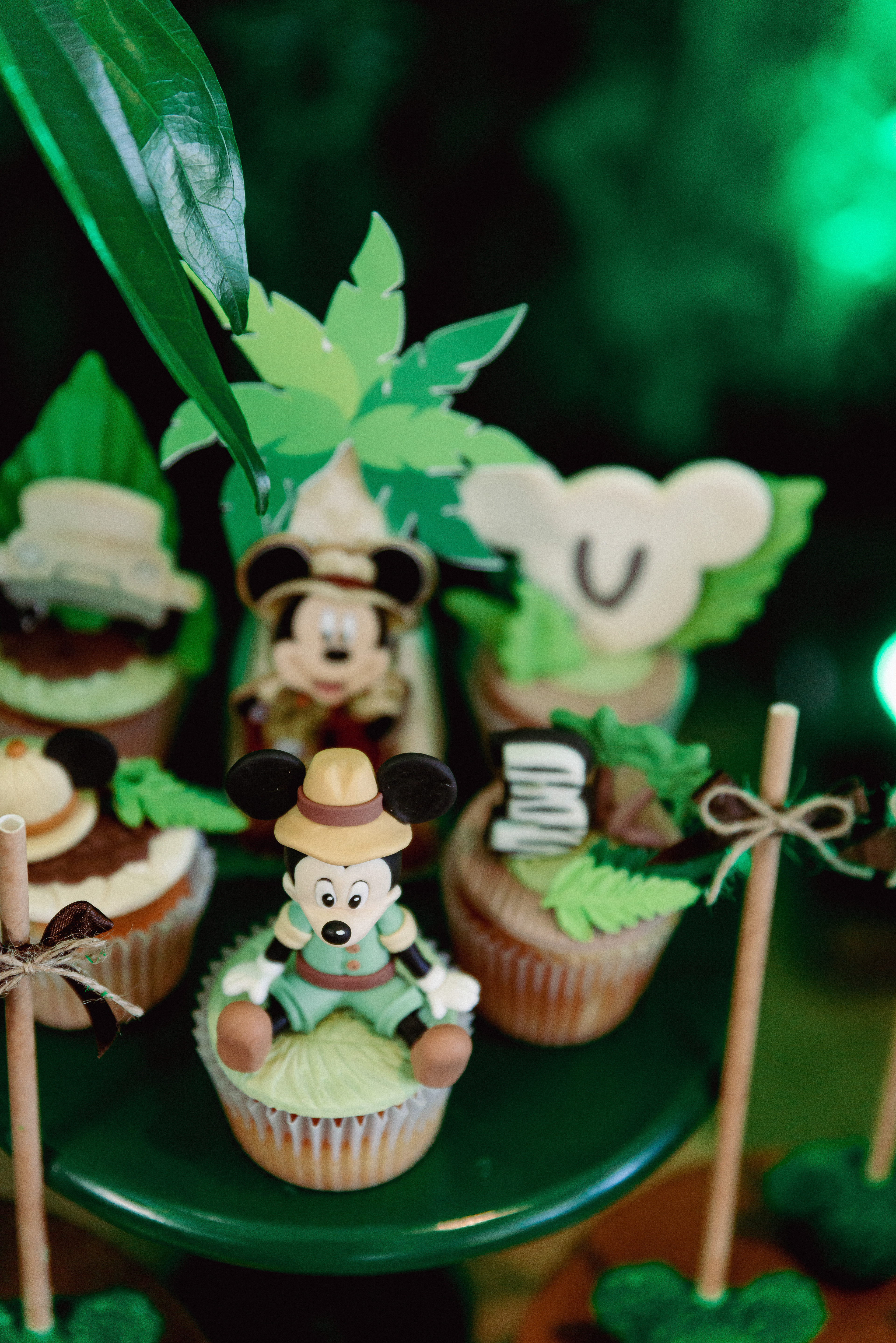 Copyright© ONPH fotografia. Todos los Derechos Reservados