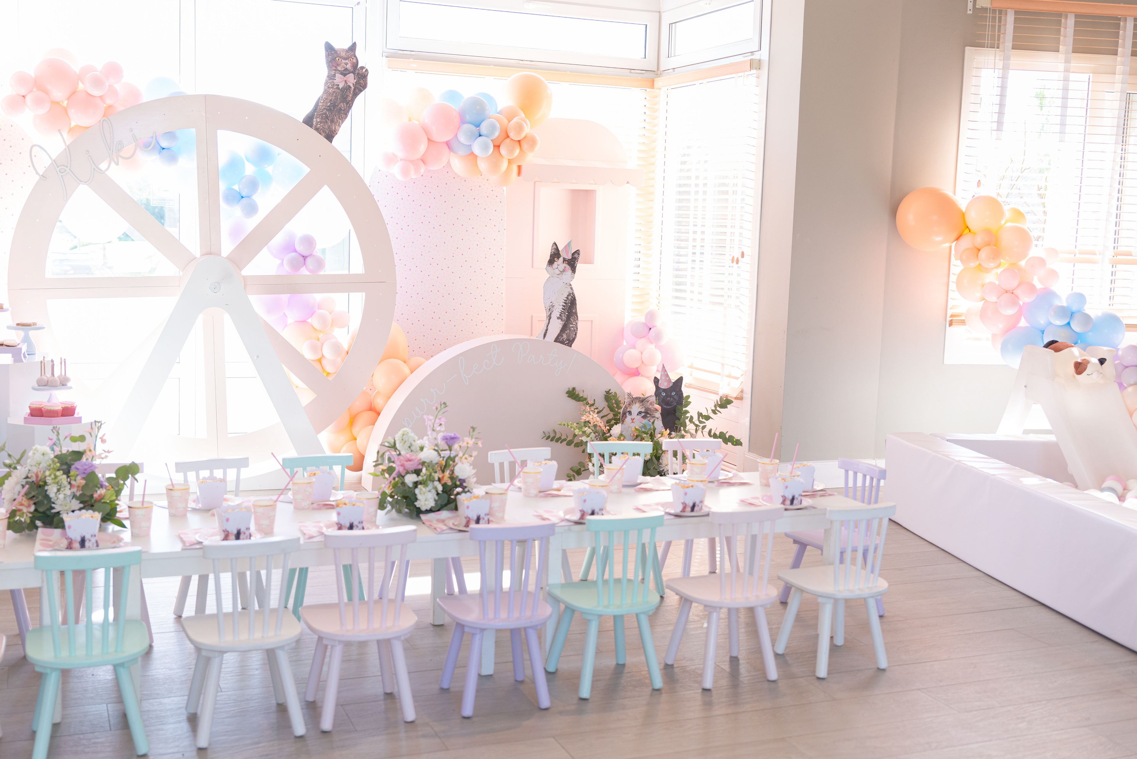 Copyright© ONPH fotografia. Todos los Derechos Reservados