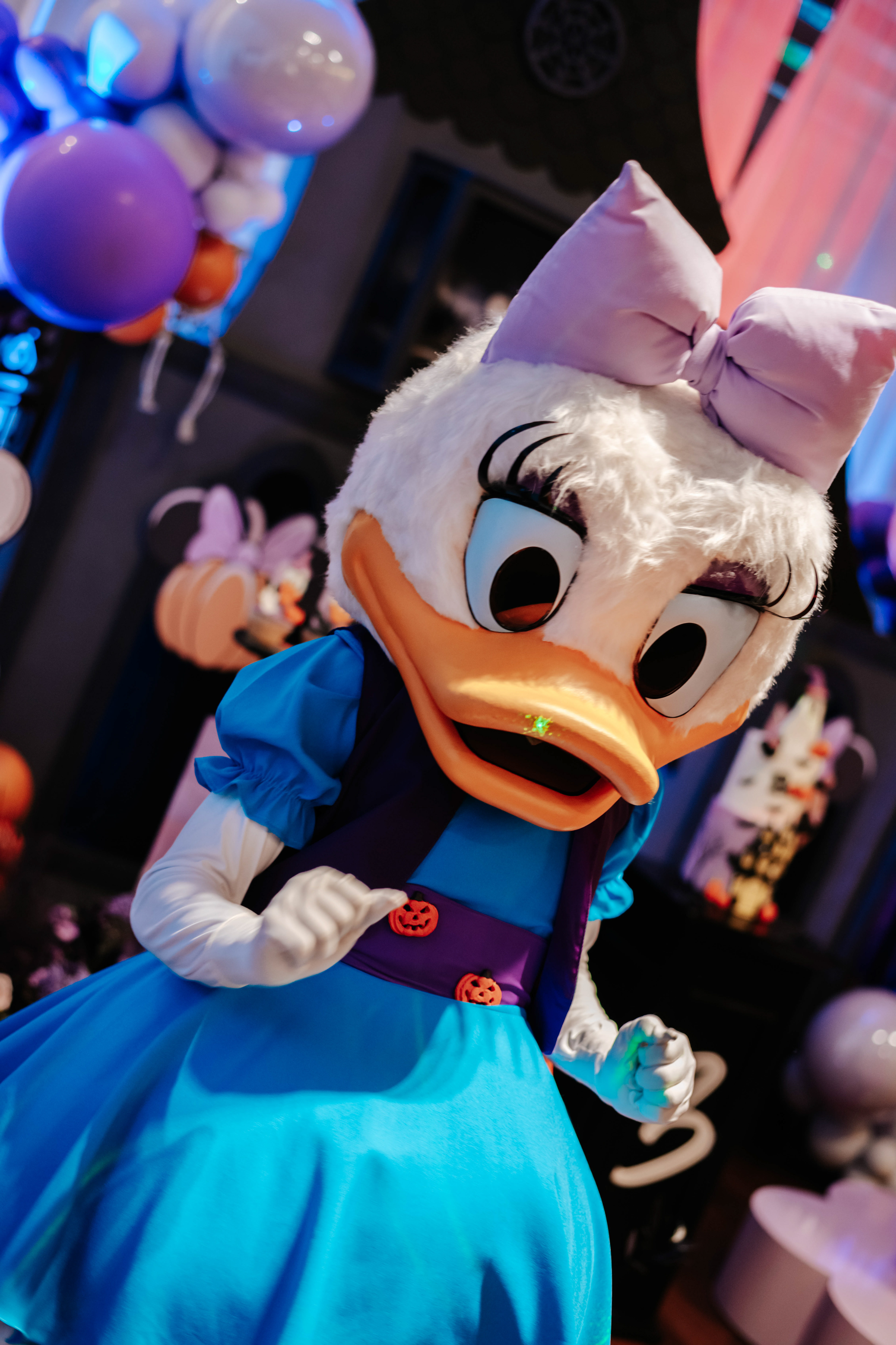 Copyright©2025 ONPH photo&film