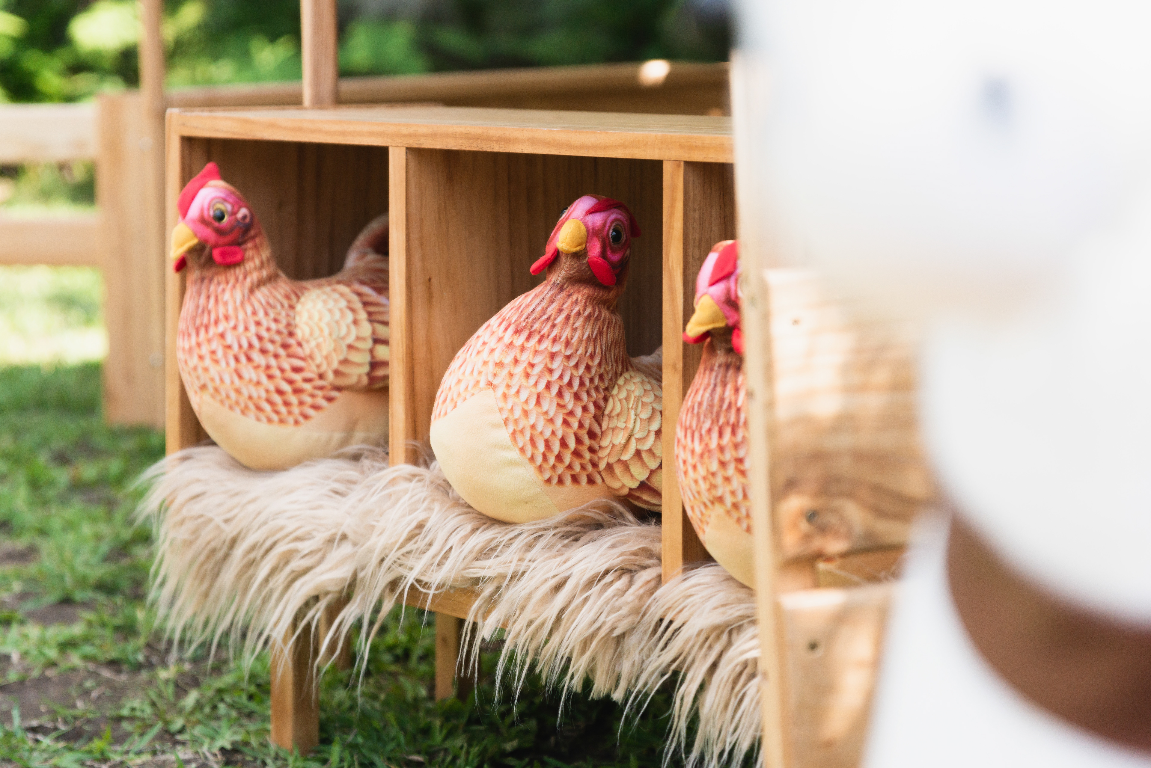 Copyright© ONPH fotografia. Todos los Derechos Reservados 