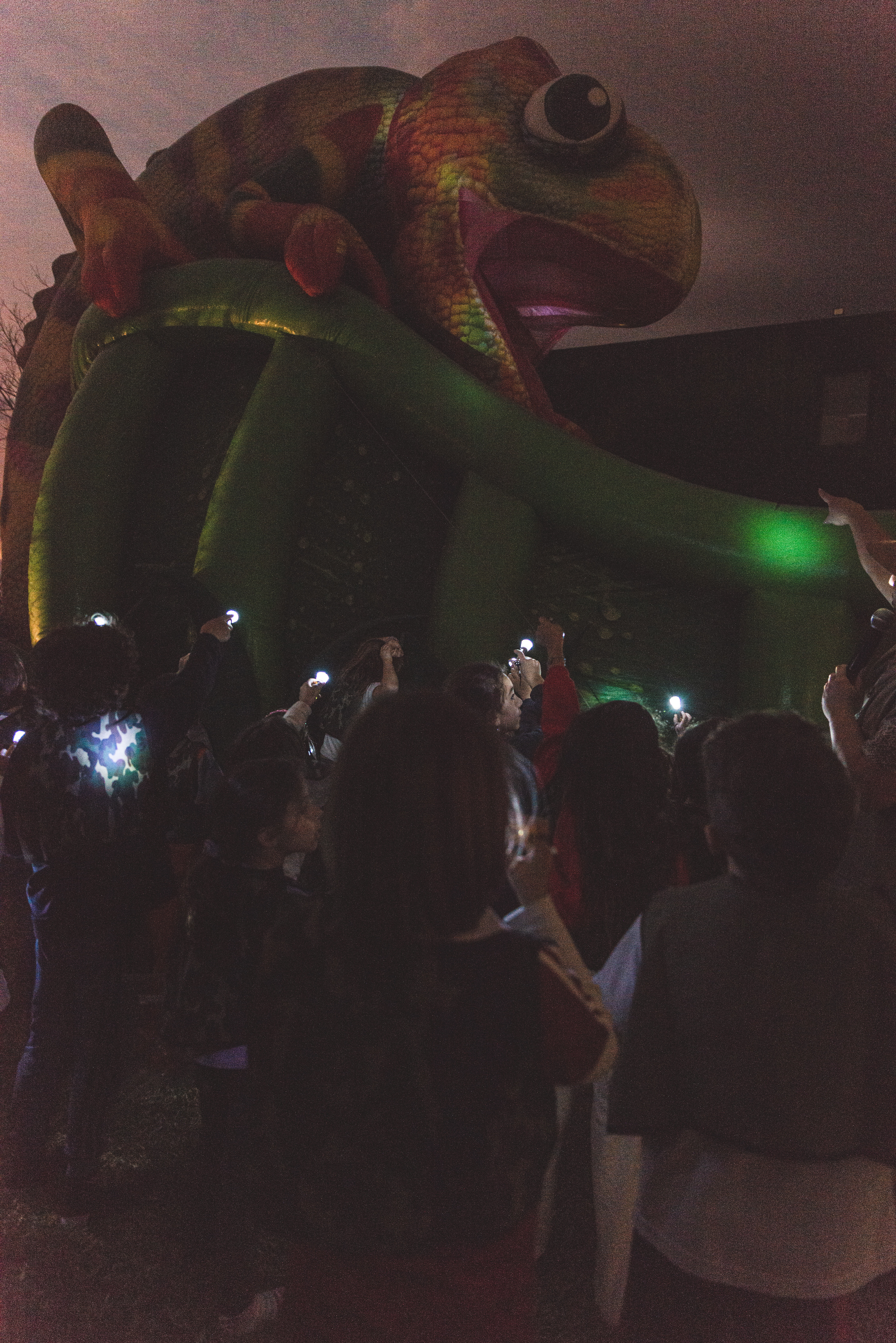 Copyright© ONPH fotografia. Todos los Derechos Reservados