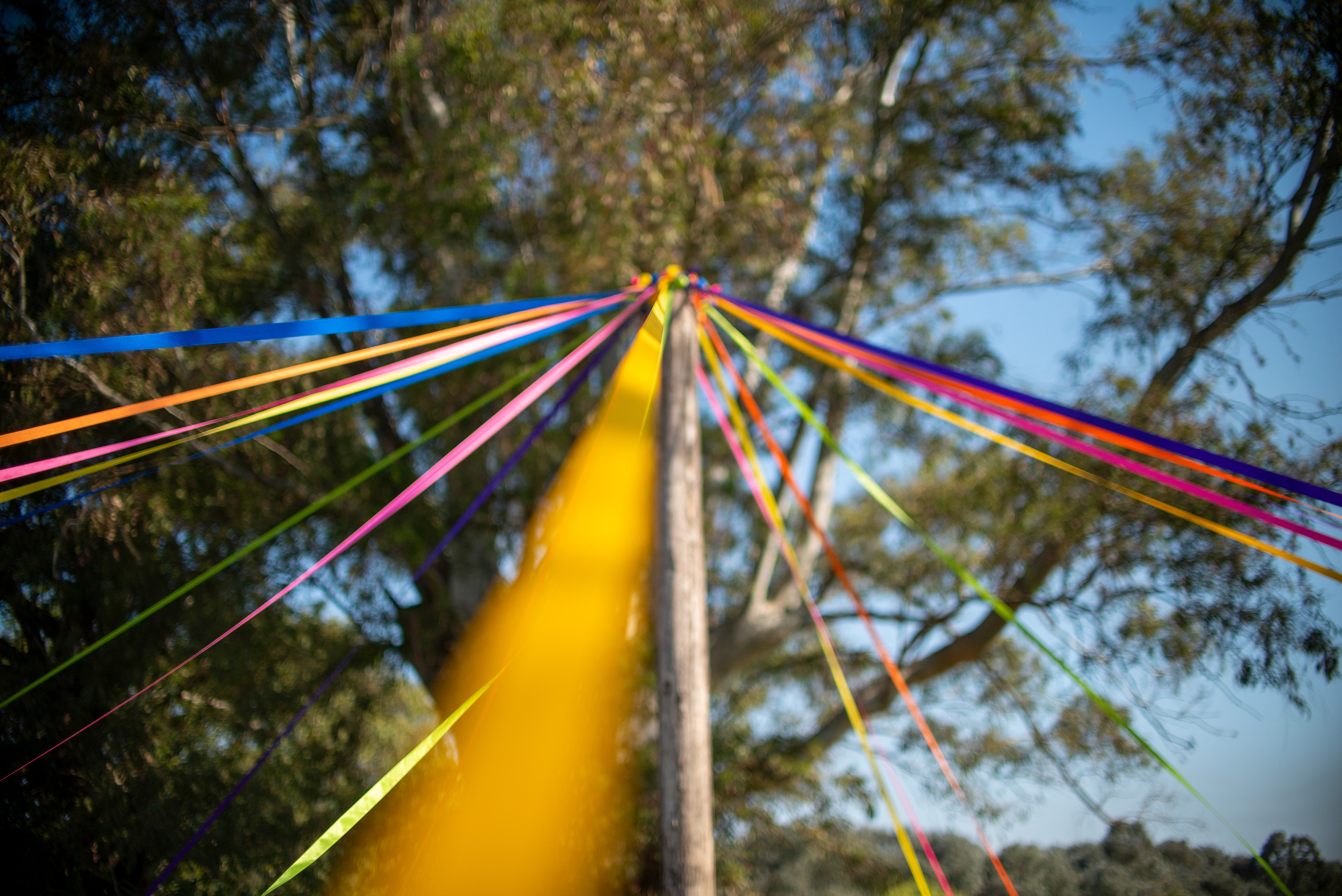 Copyright 2019 ONPH fotografía. Todos los derechos reservados.