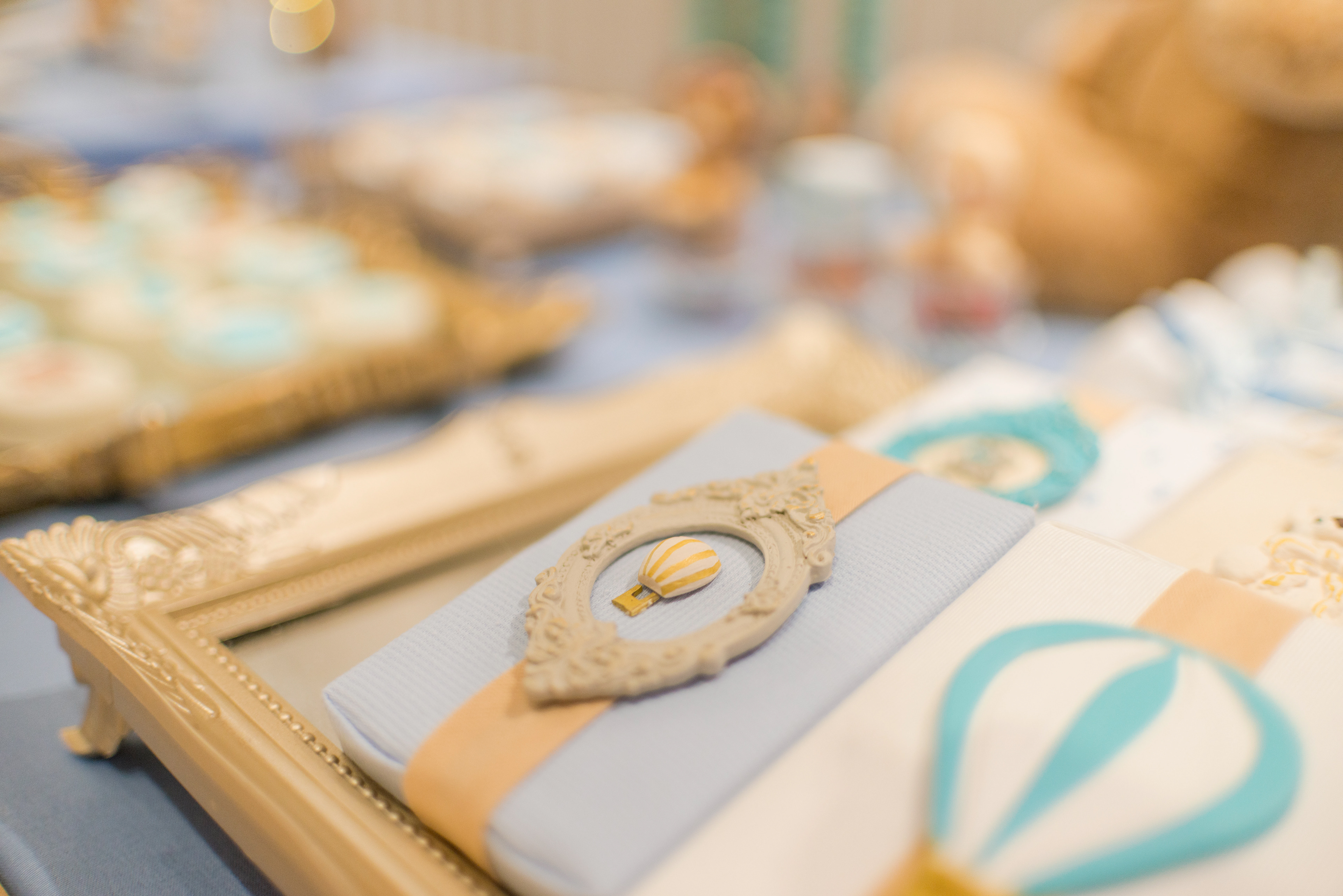 Copyright 2019 ONPH fotografía. Todos los derechos reservados.