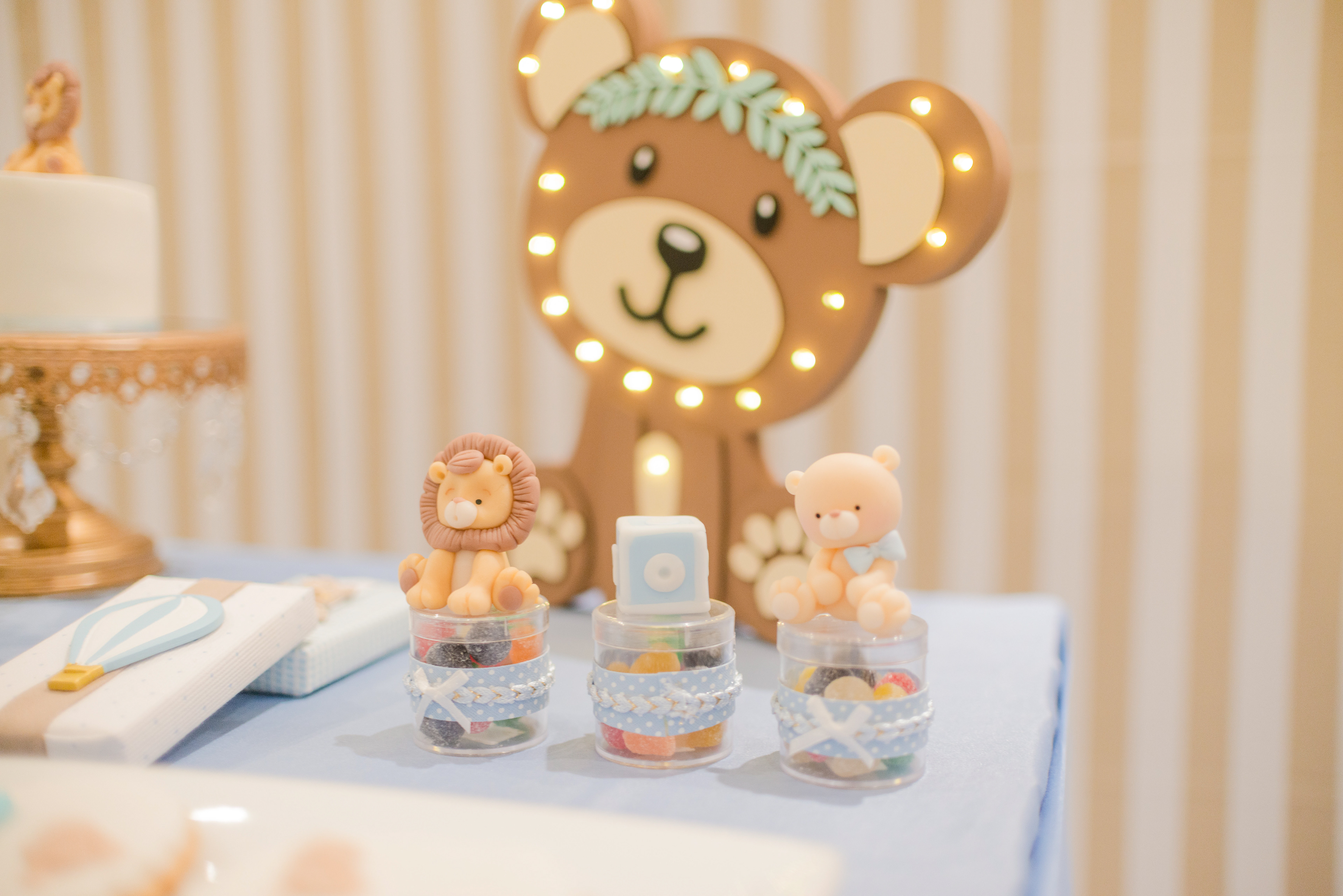 Copyright 2019 ONPH fotografía. Todos los derechos reservados.