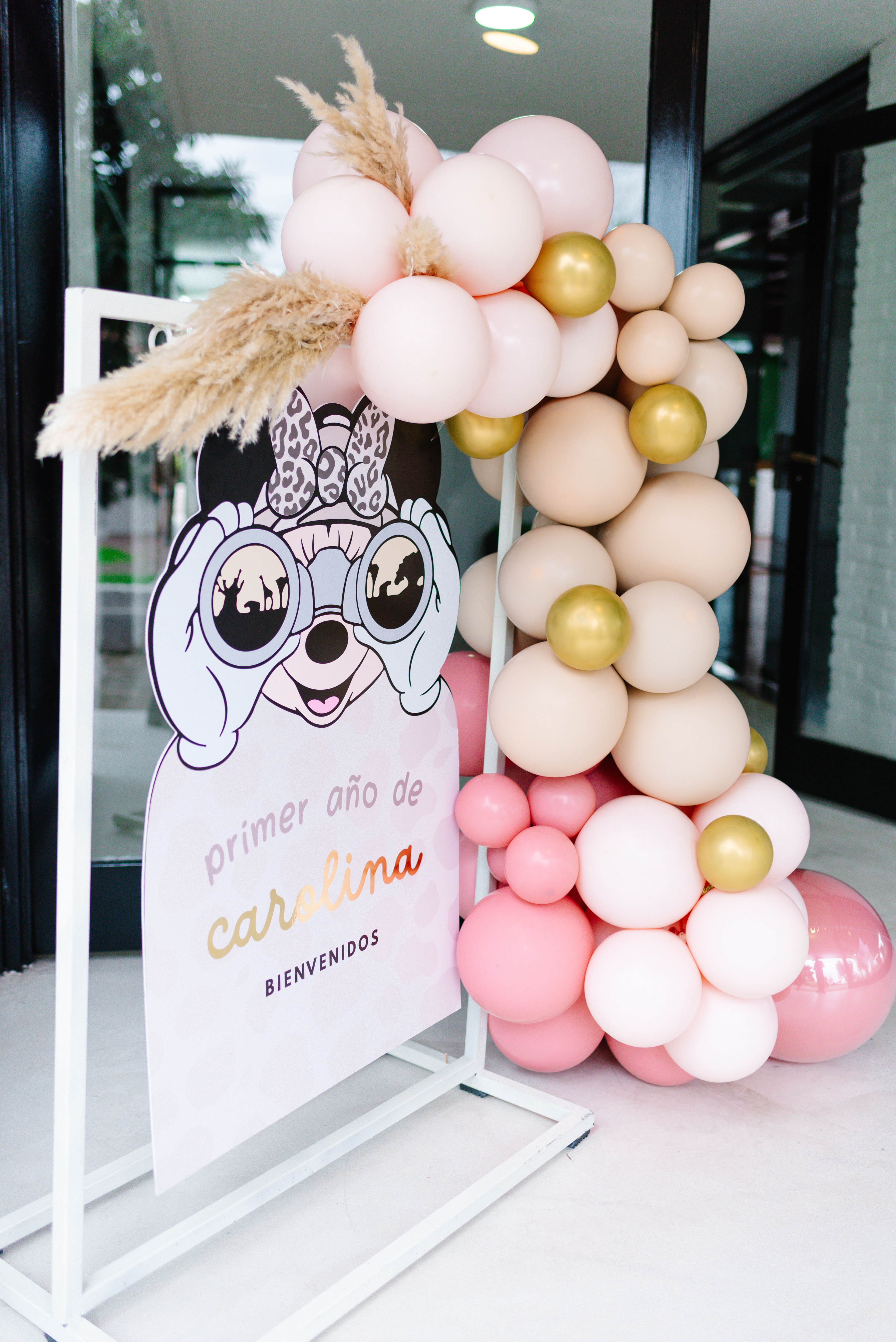 Copyright©2023 ONPH fotografia. Todos los Derechos Reservados