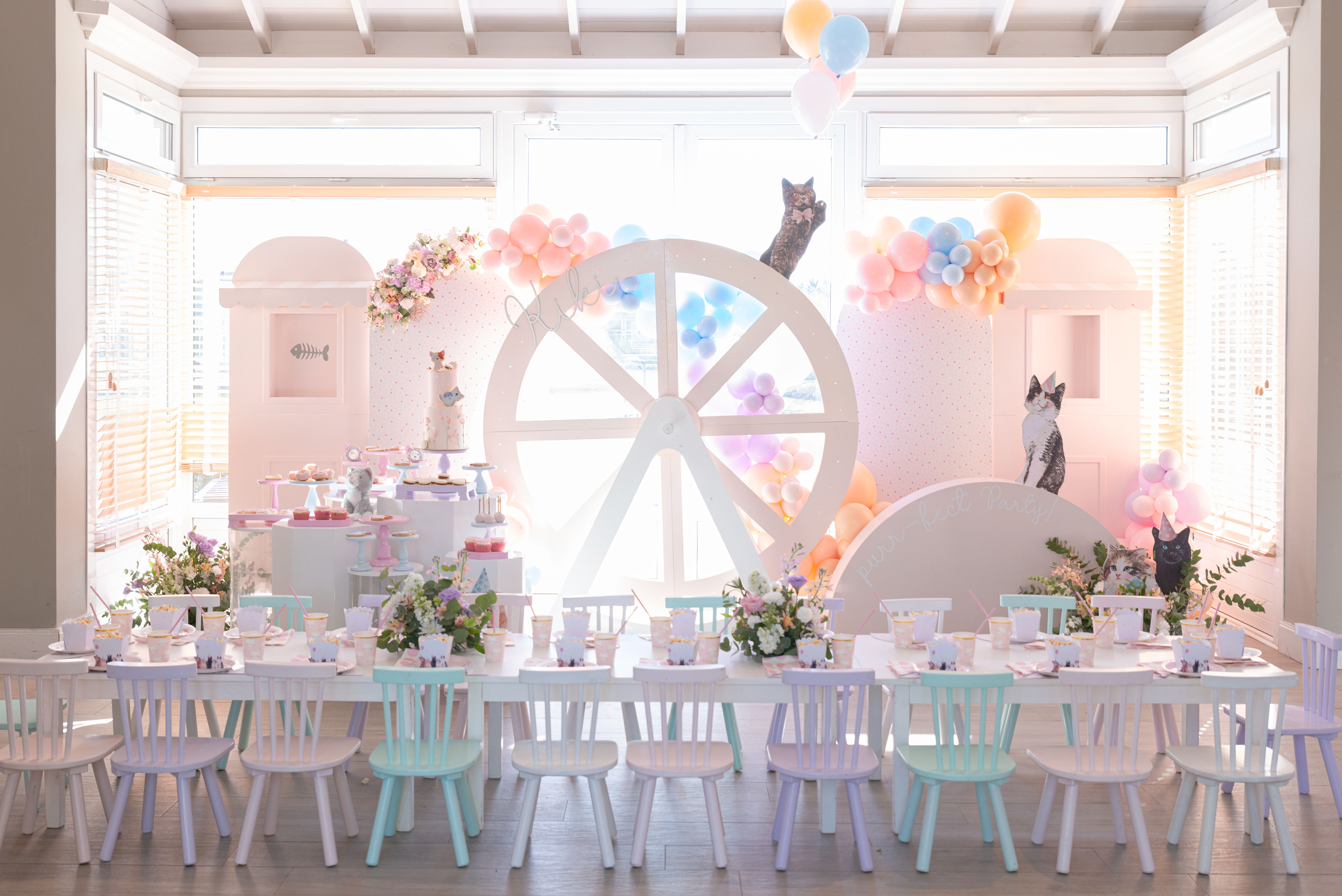 Copyright© ONPH fotografia. Todos los Derechos Reservados