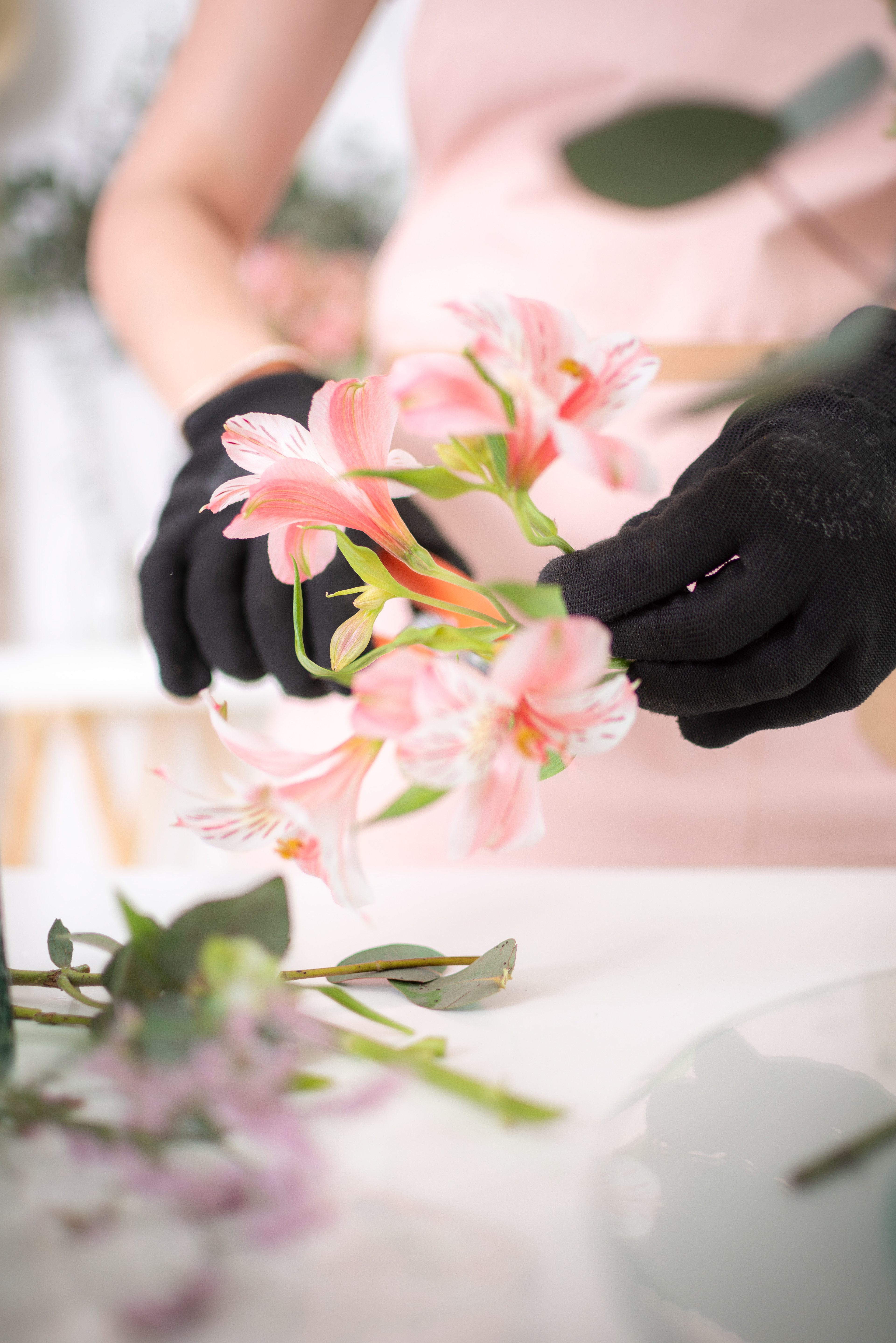 Copyright 2019 ONPH fotografía. Todos los derechos reservados.