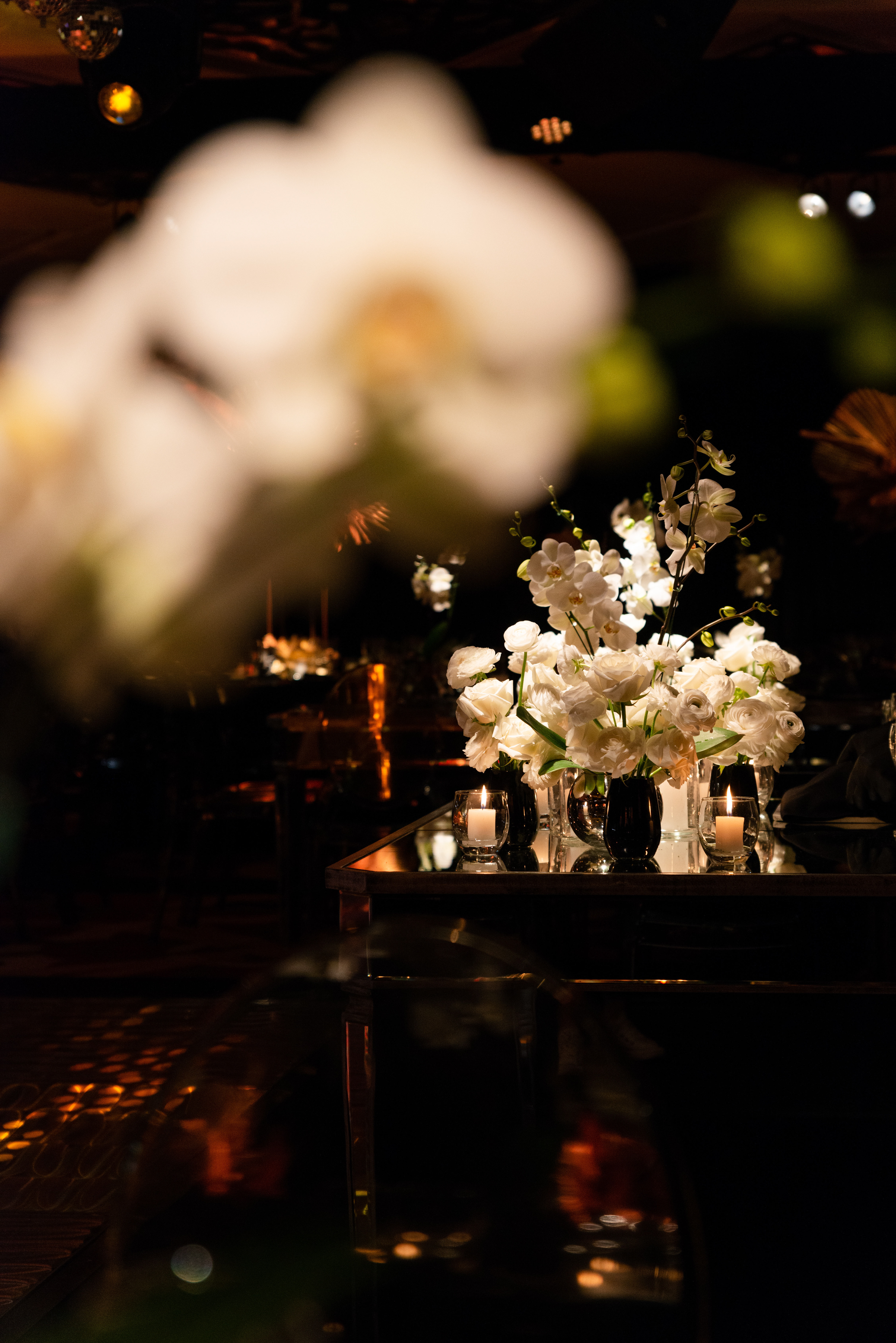 Copyright© ONPH fotografia. Todos los Derechos Reservados