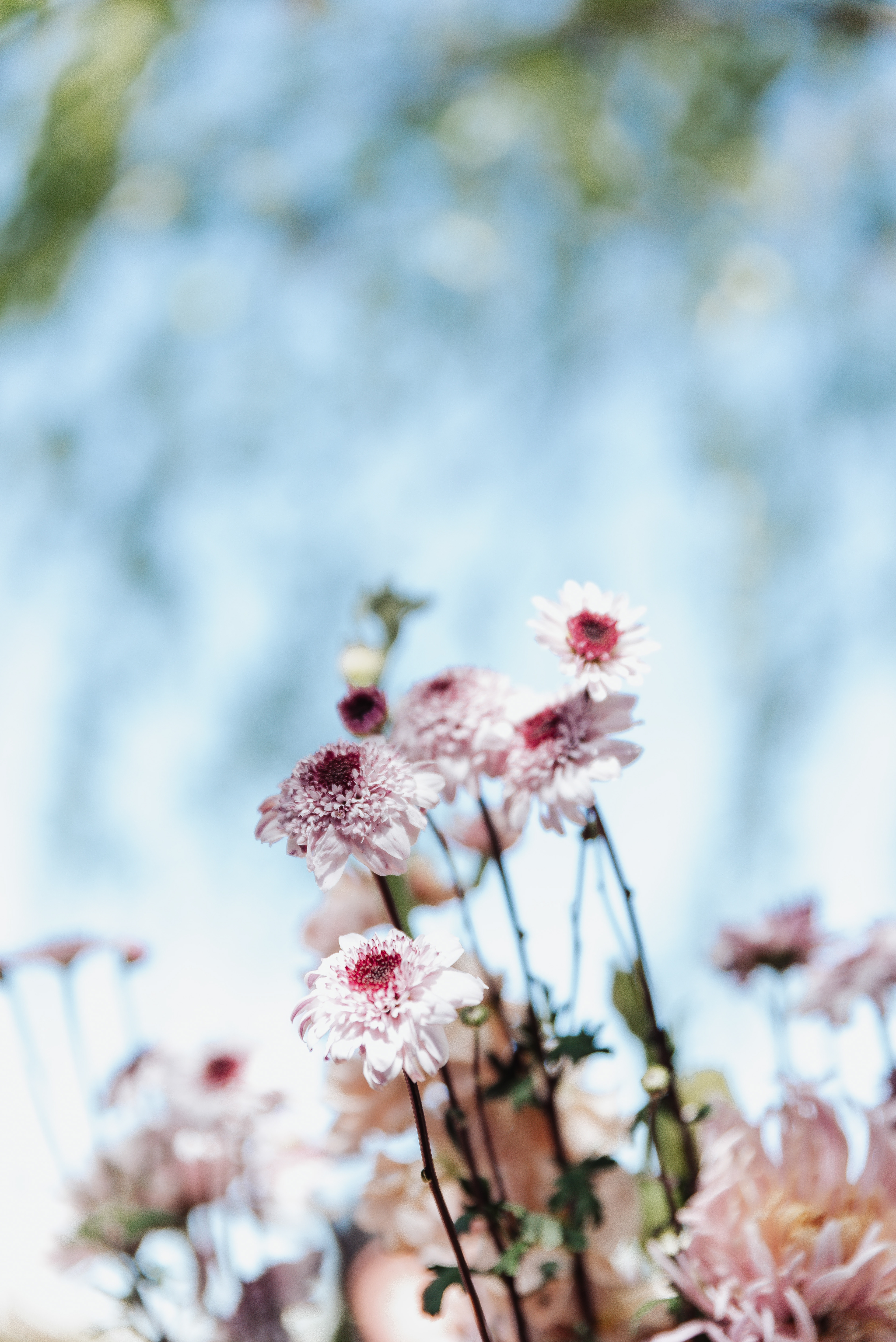 Copyright© ONPH fotografia. Todos los Derechos Reservados