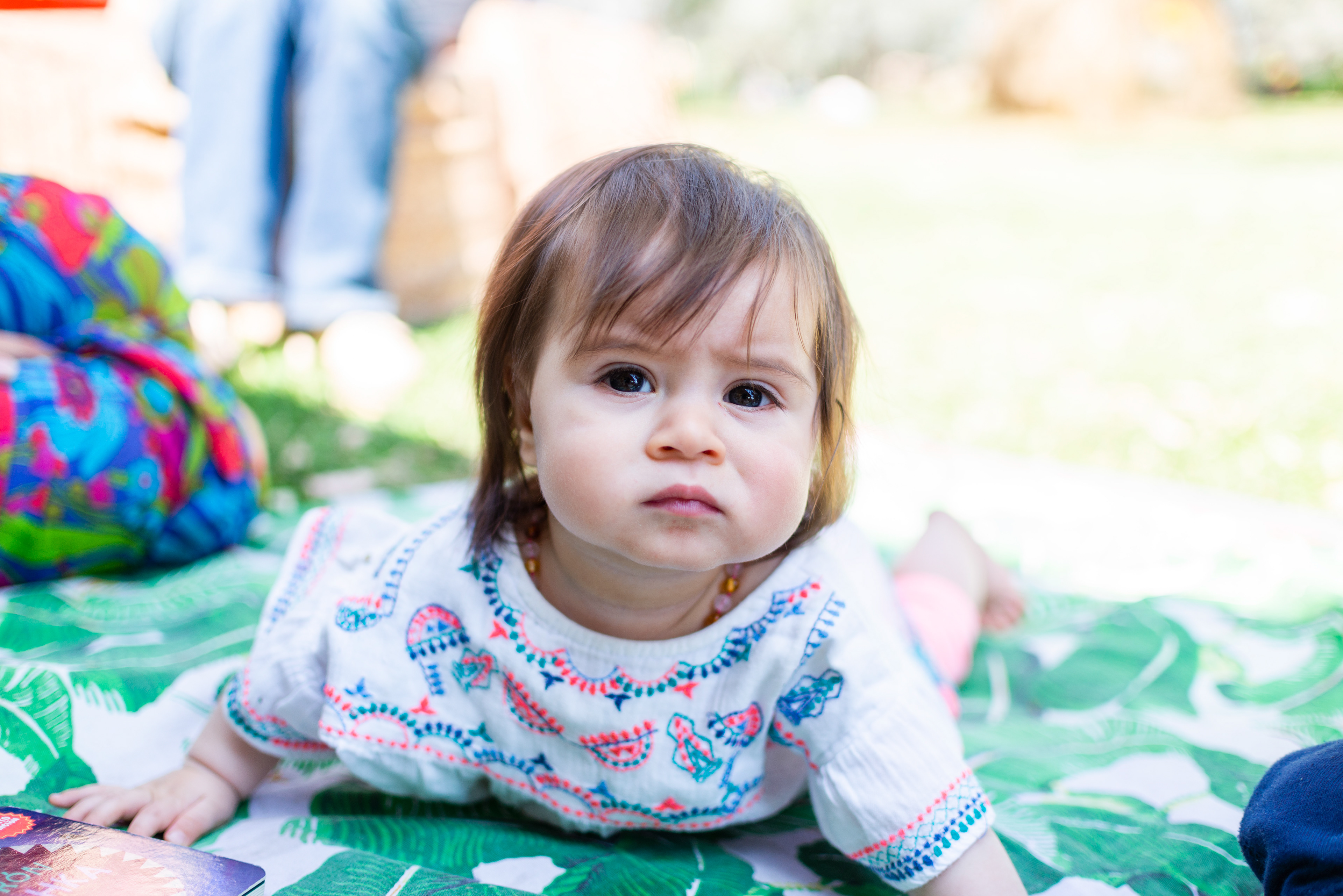 Copyright 2019 ONPH fotografía. Todos los derechos reservados.