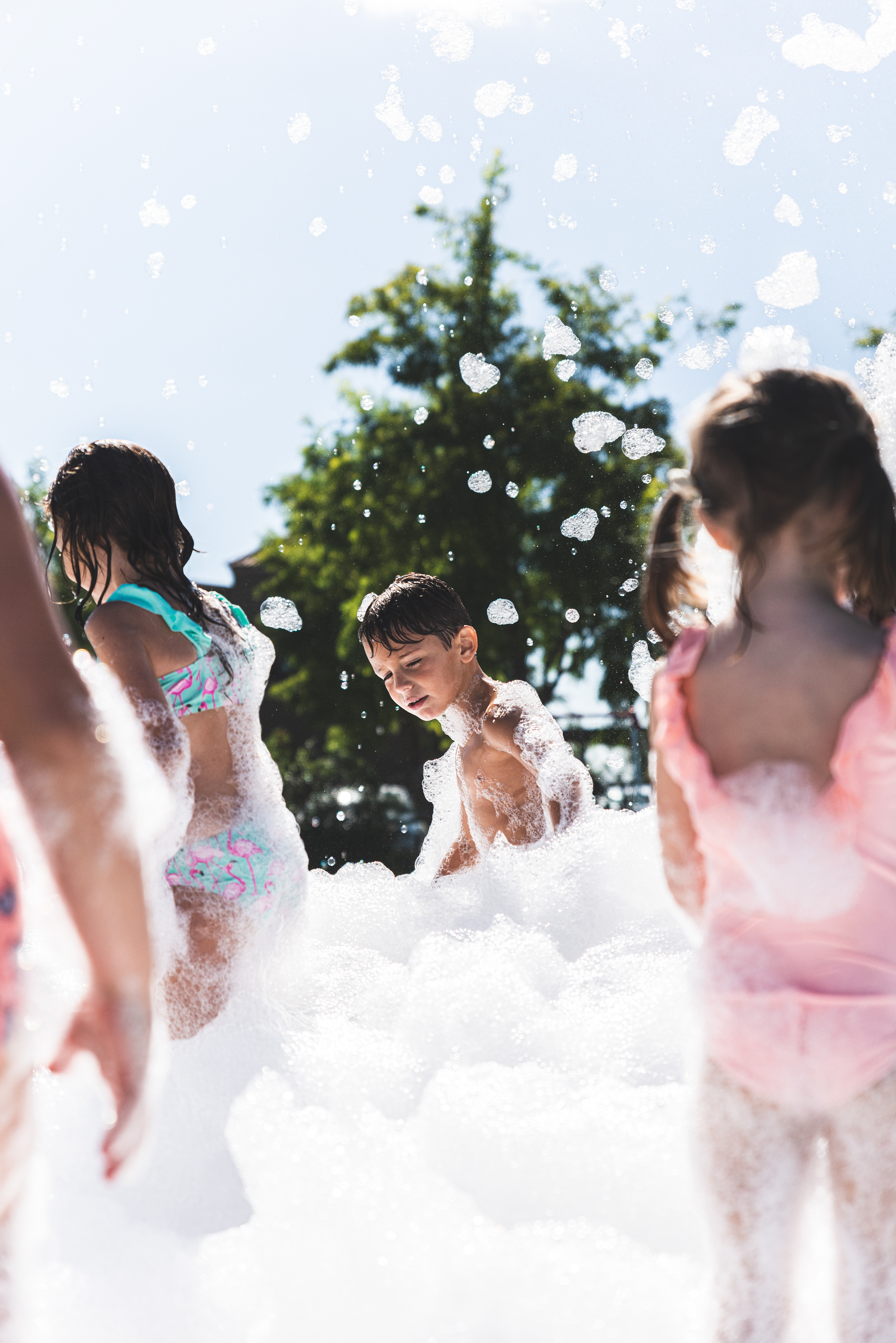 Copyright© ONPH fotografia. Todos los Derechos Reservados