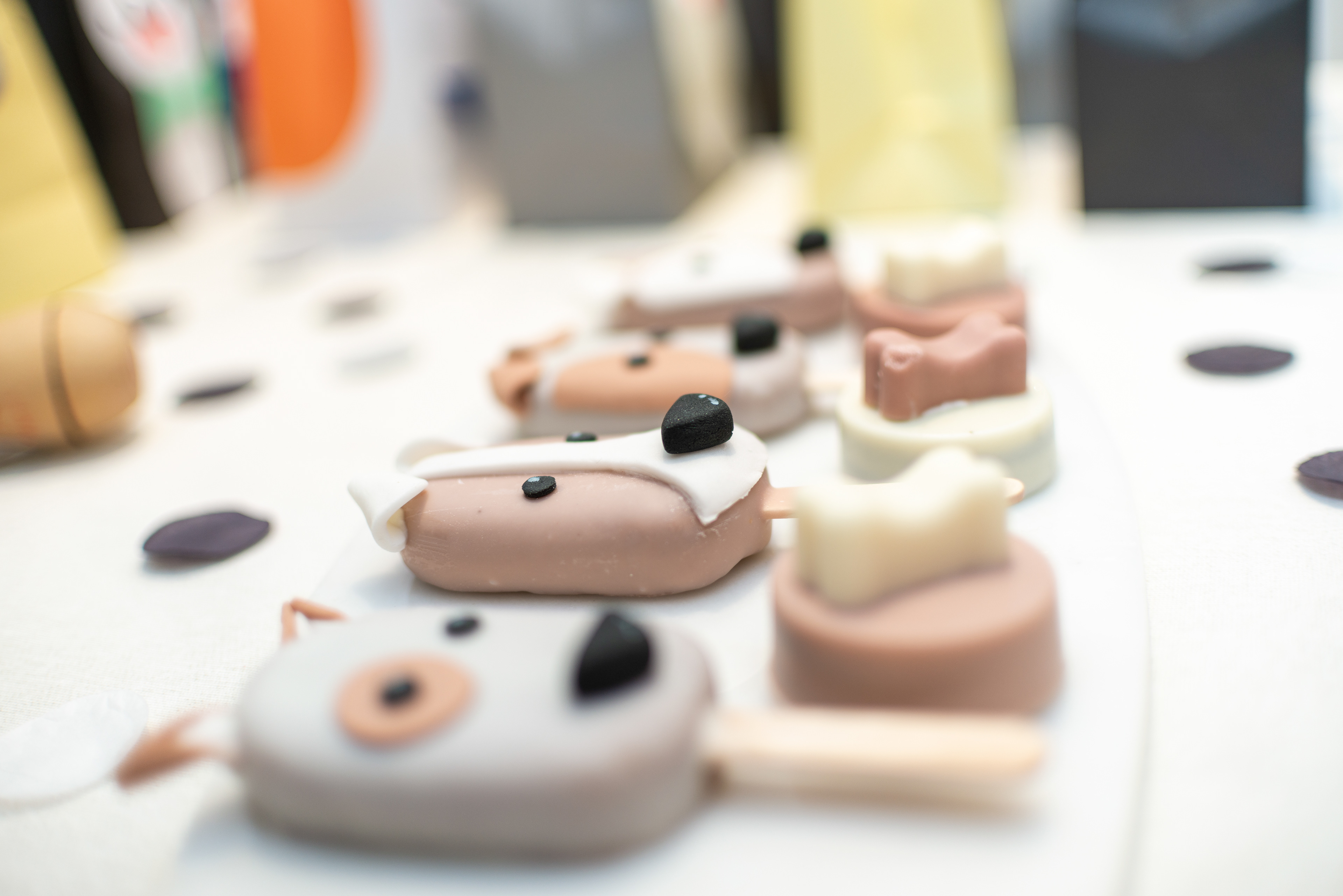  Copyright 2019 ONPH fotografía. Todos los derechos reservados.