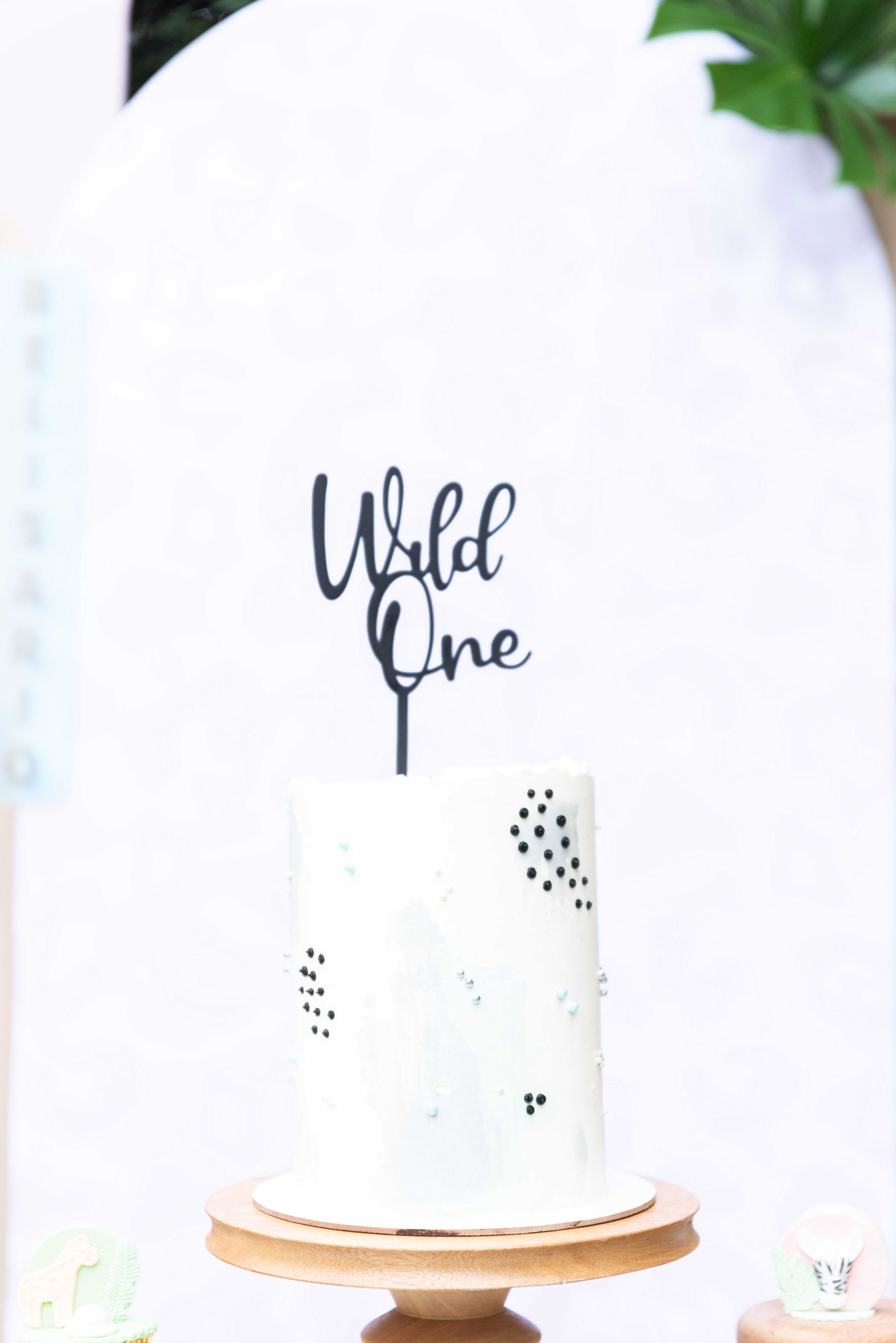 Copyright©2022 ONPH fotografia. Todos los Derechos Reservados