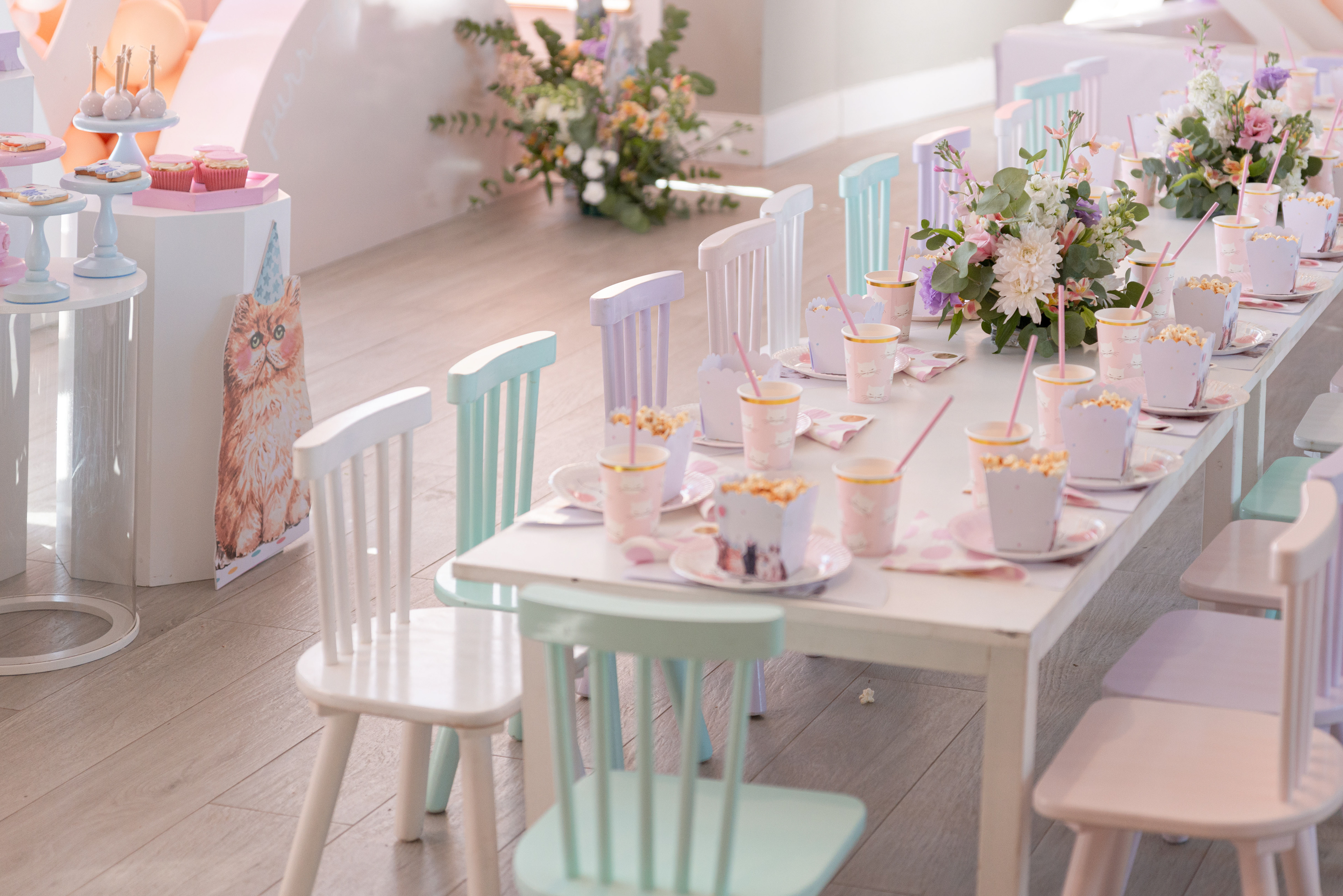 Copyright© ONPH fotografia. Todos los Derechos Reservados