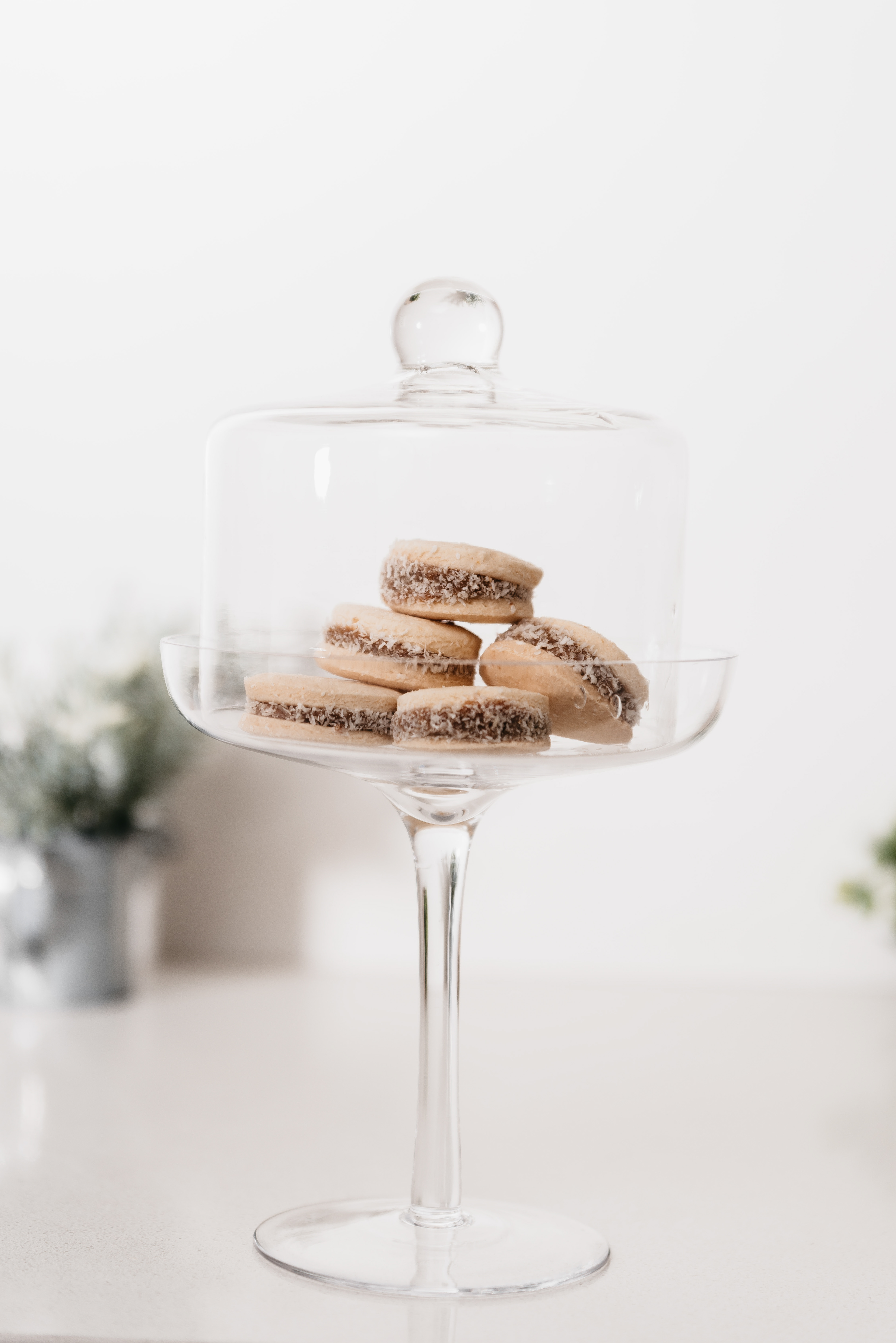 Copyright© ONPH fotografia. Todos los Derechos Reservados