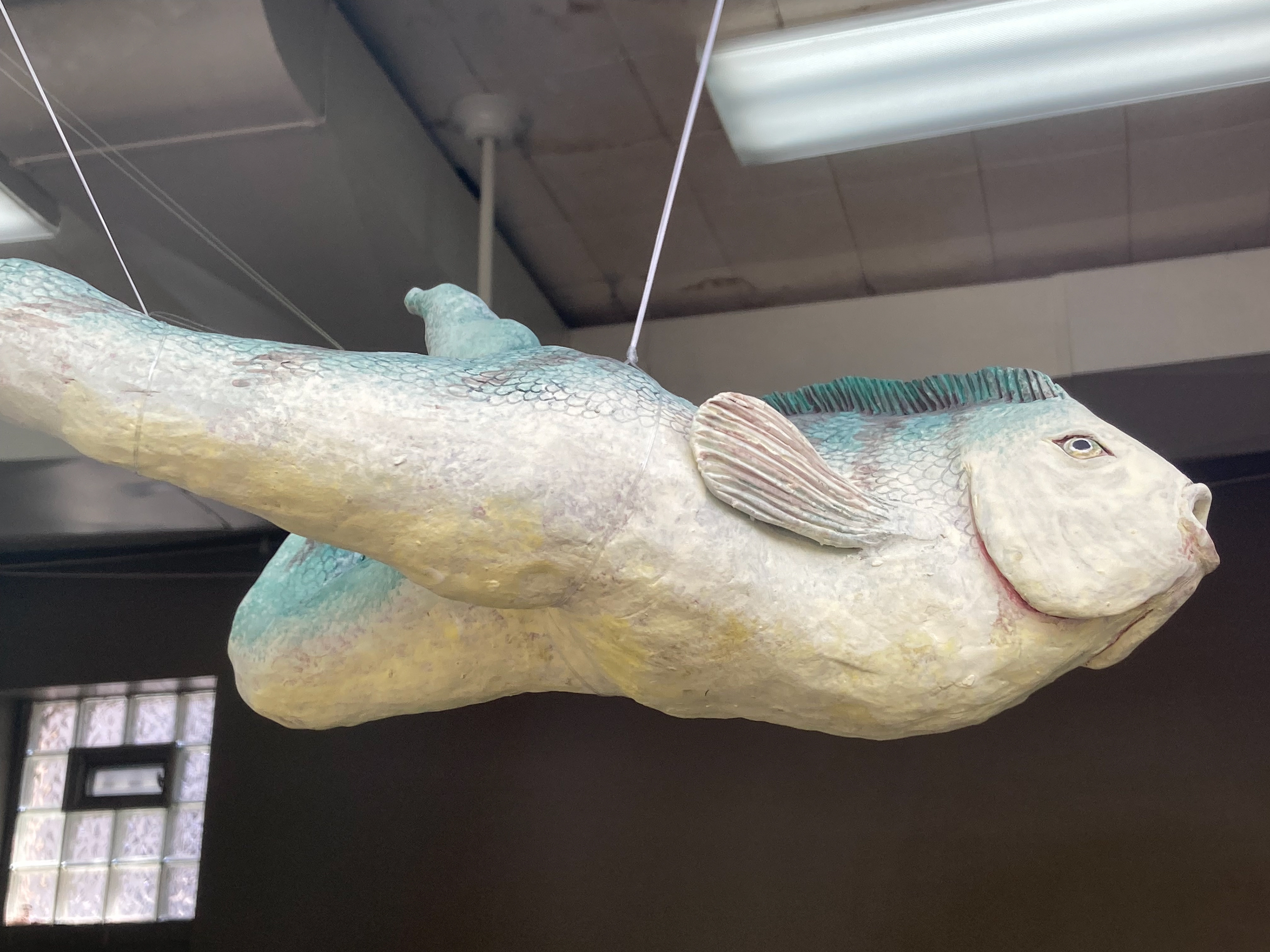 Animality - July 2022