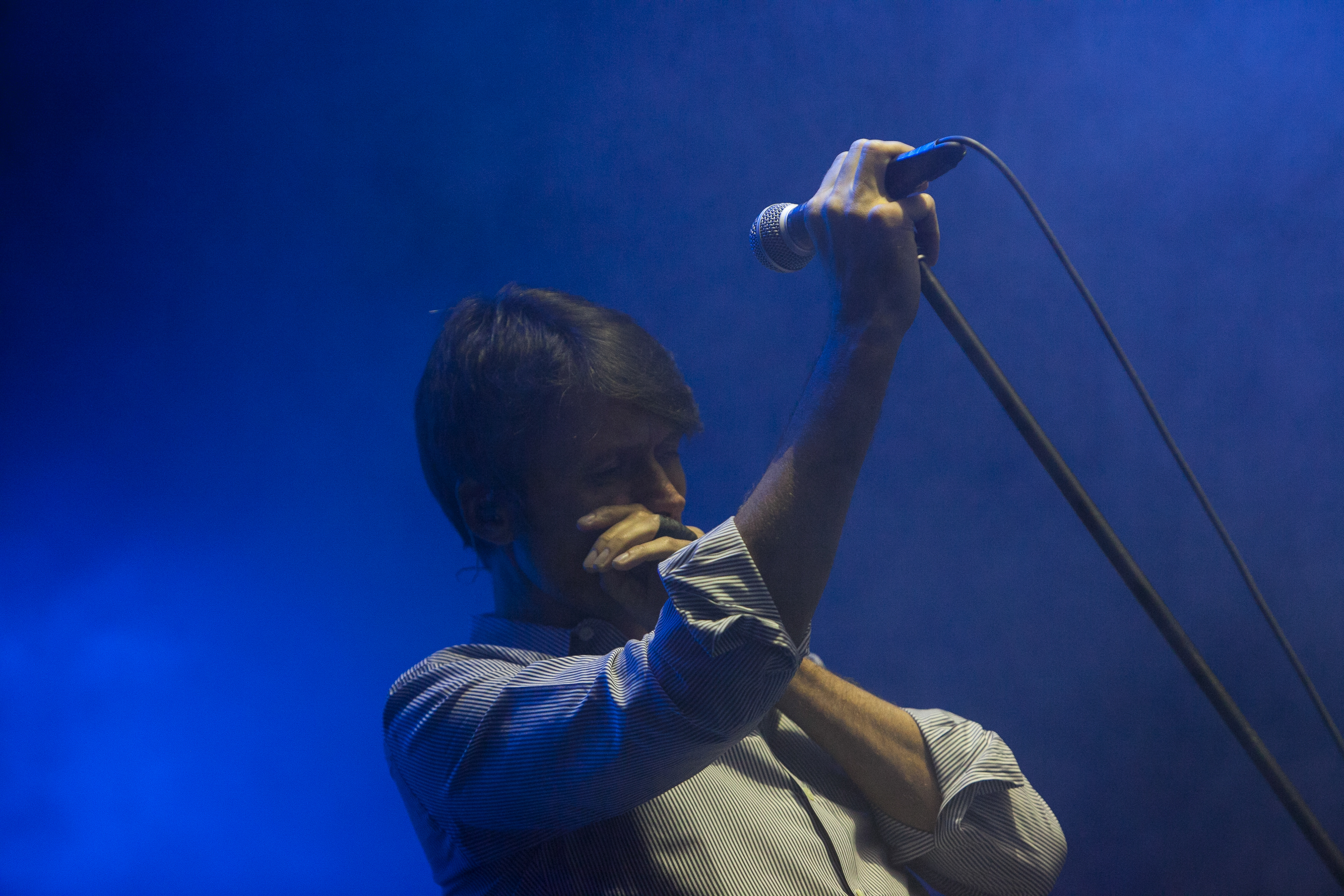 SUEDE