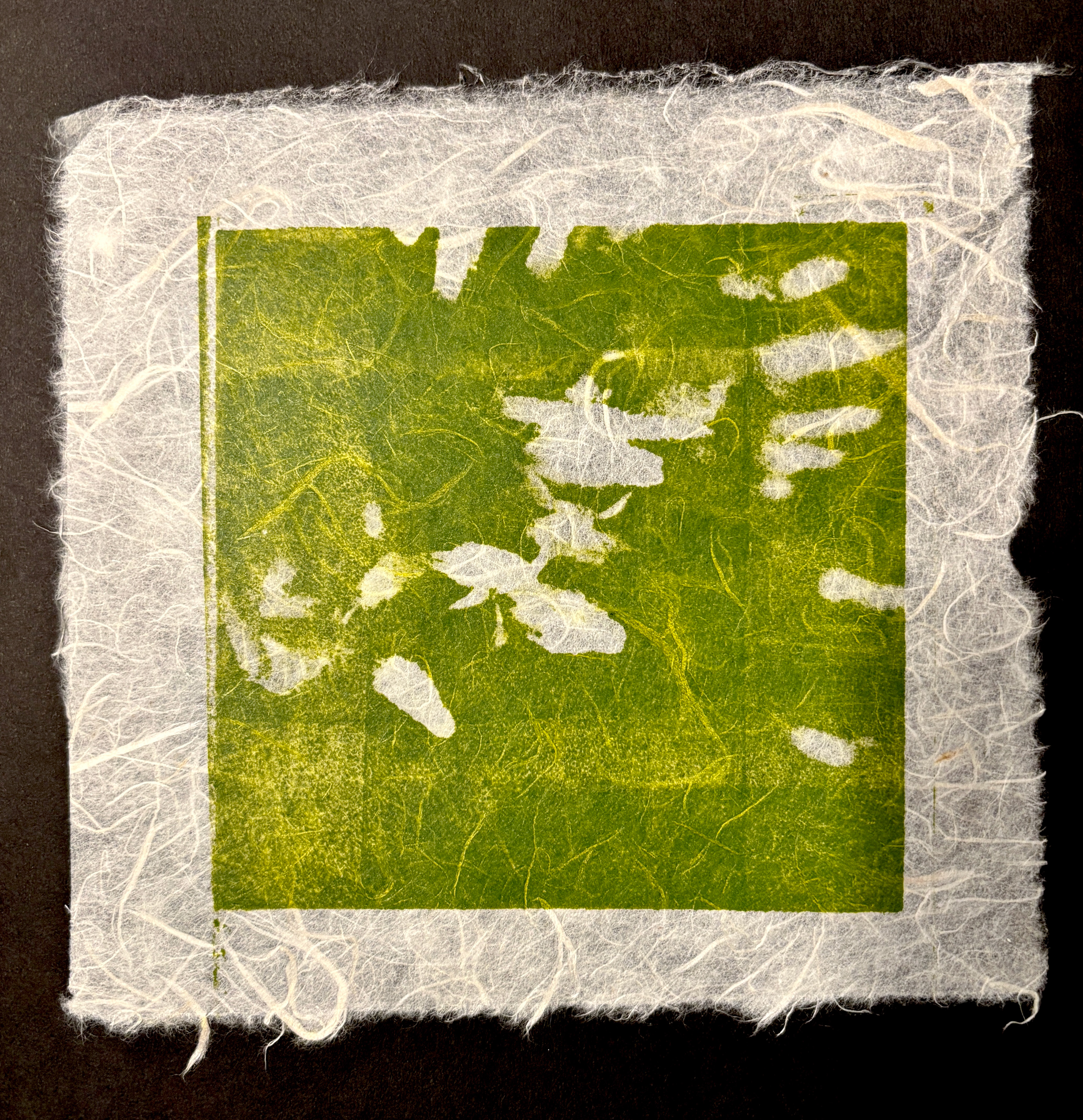 Plate Litho