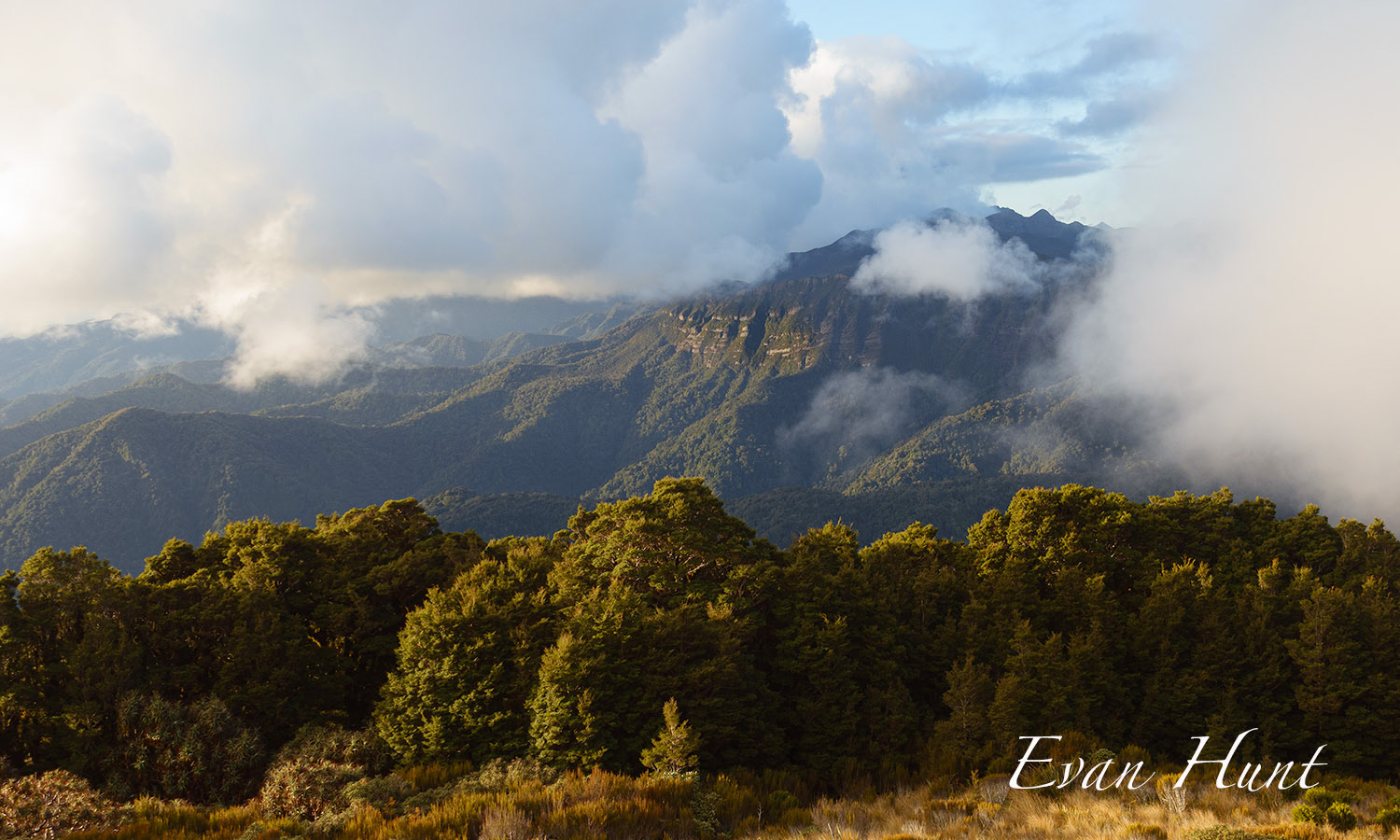 The Escarpment Paparoa Track (Moonlight Tops Hut)