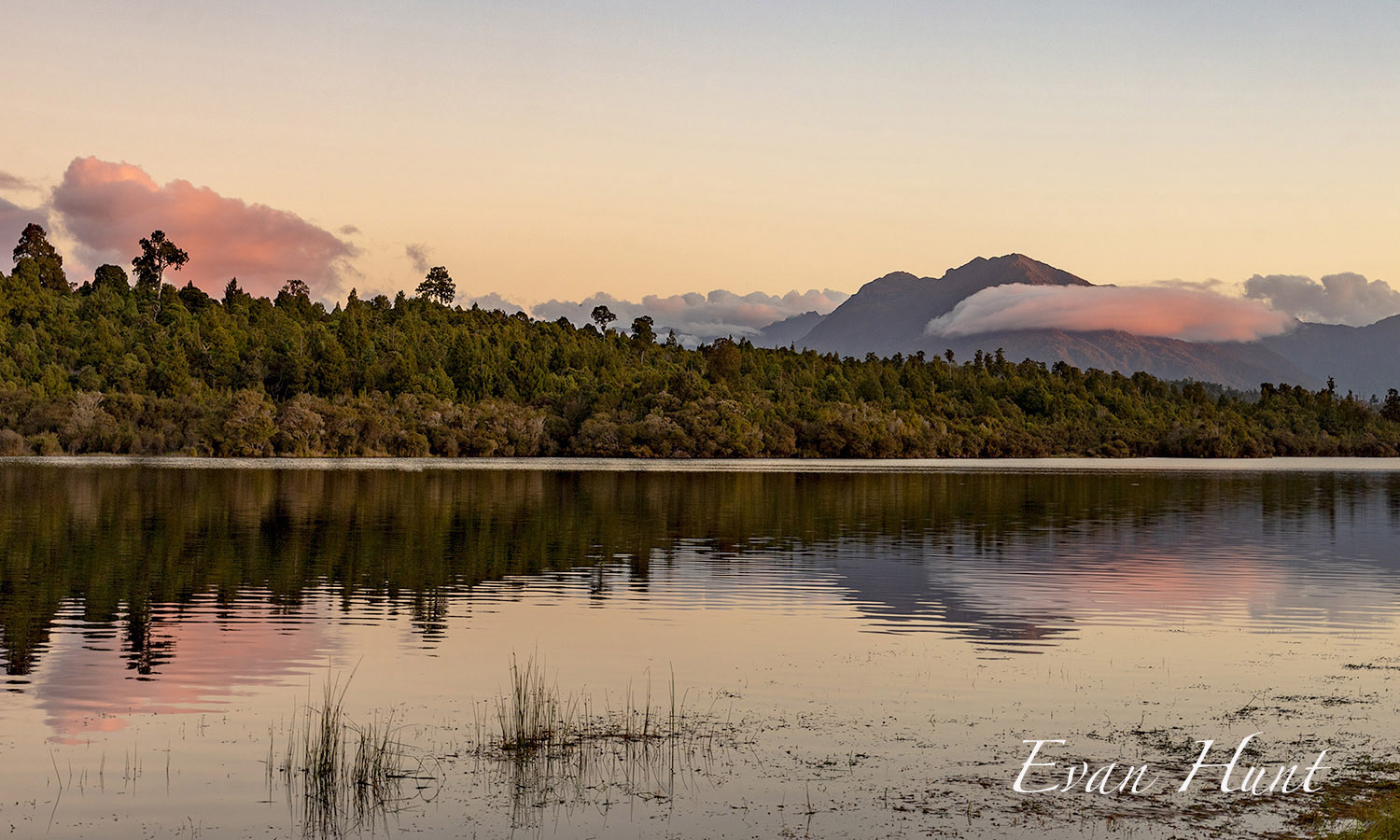Kapitia at Dusk (Kumara)