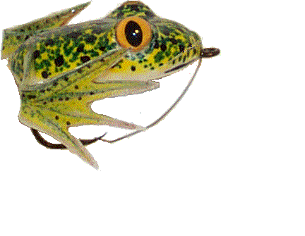 Capt Kens Designer Bass Frogs Clone Series
