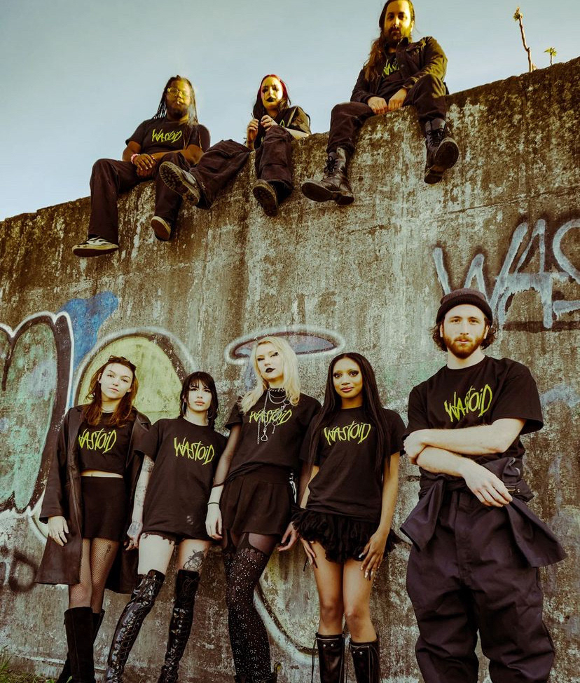 Wastoid Logo Merch (images from @vvastoid on Instagram)