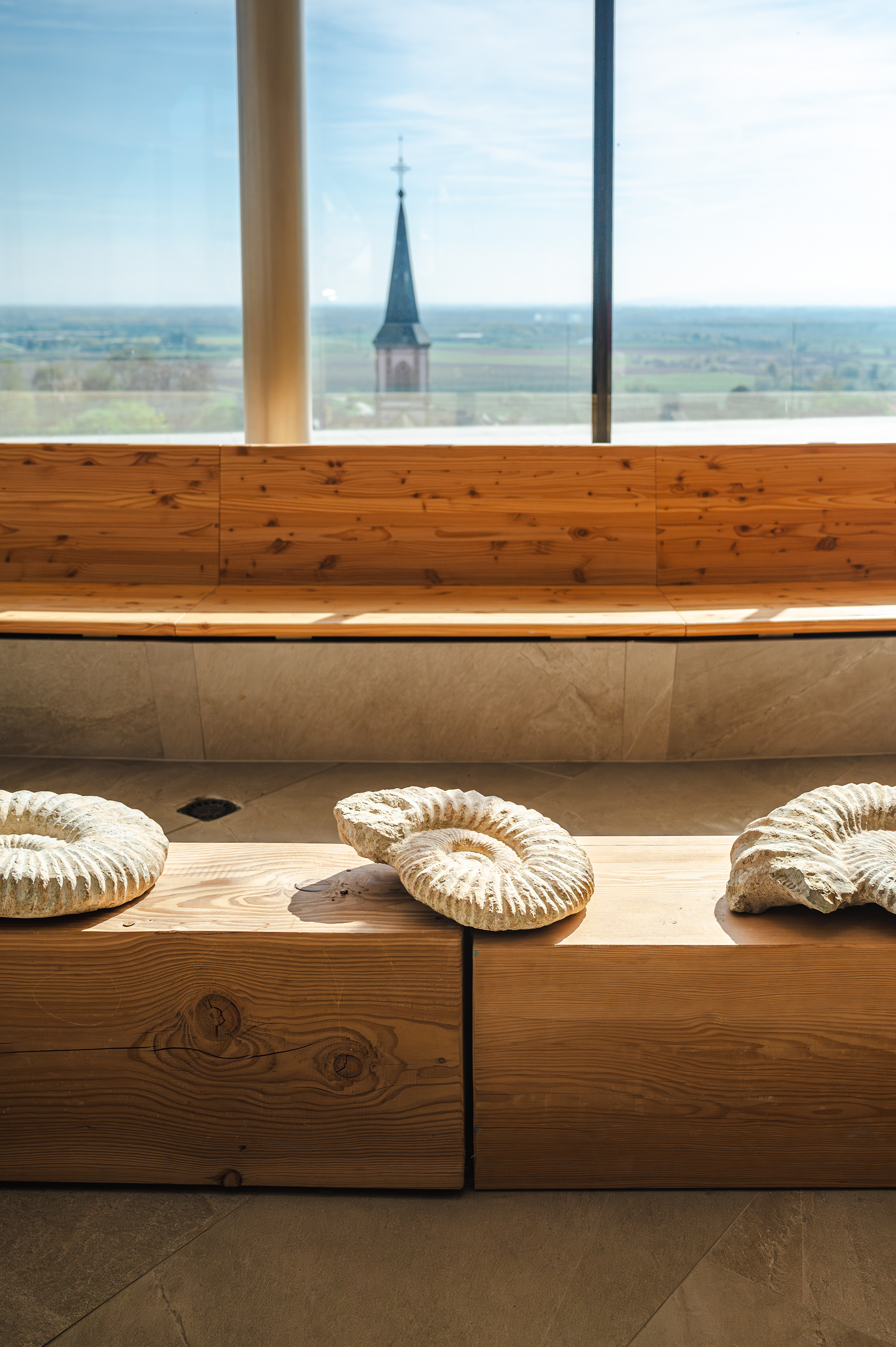 Fossil ammonites on a wooden bench by the window, winery interior