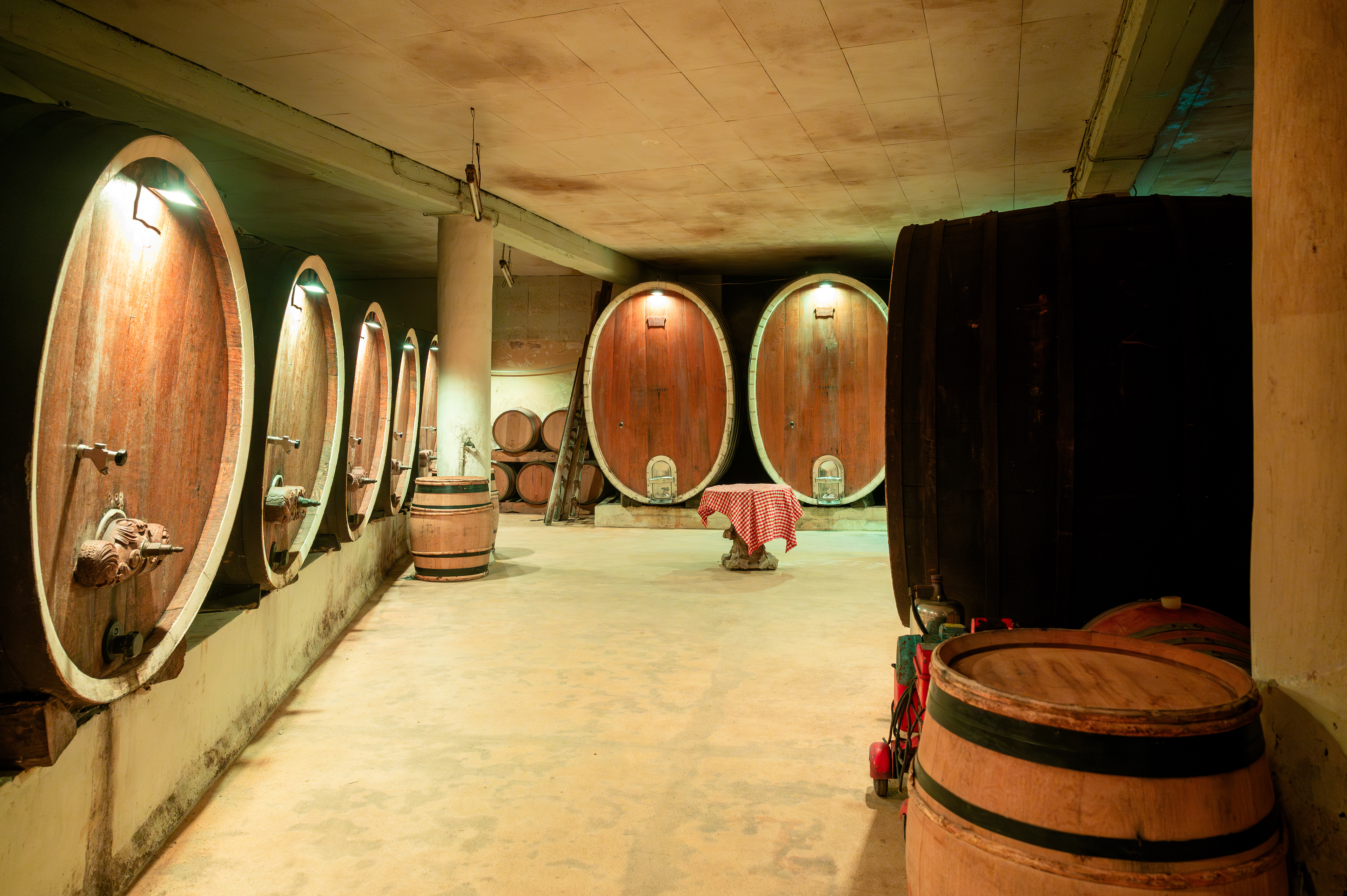 Old oak wine casks in the Rolly Gassmann cellar