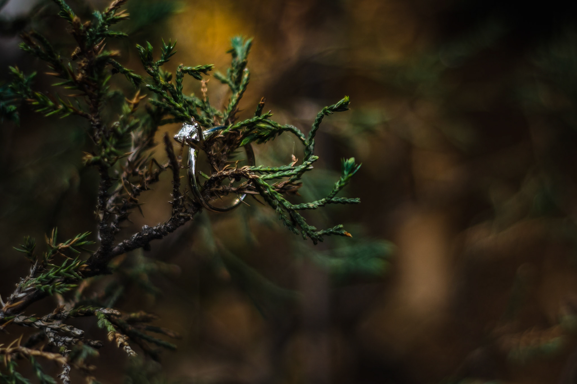 Sesión fotografica Pre-boda Karen & Ricardo