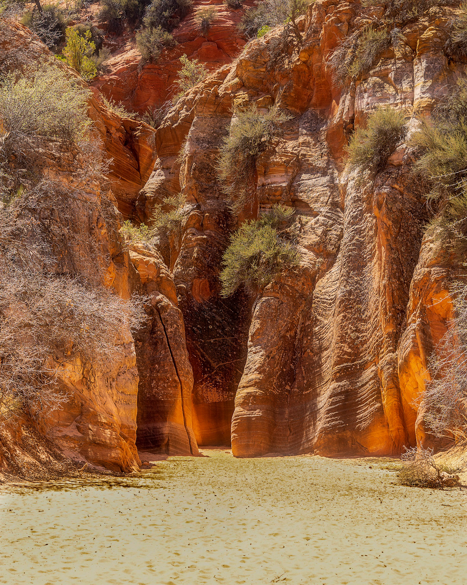 The opening to the slot canyon at Diana's Throne glows golden in the early afternoon sun.
